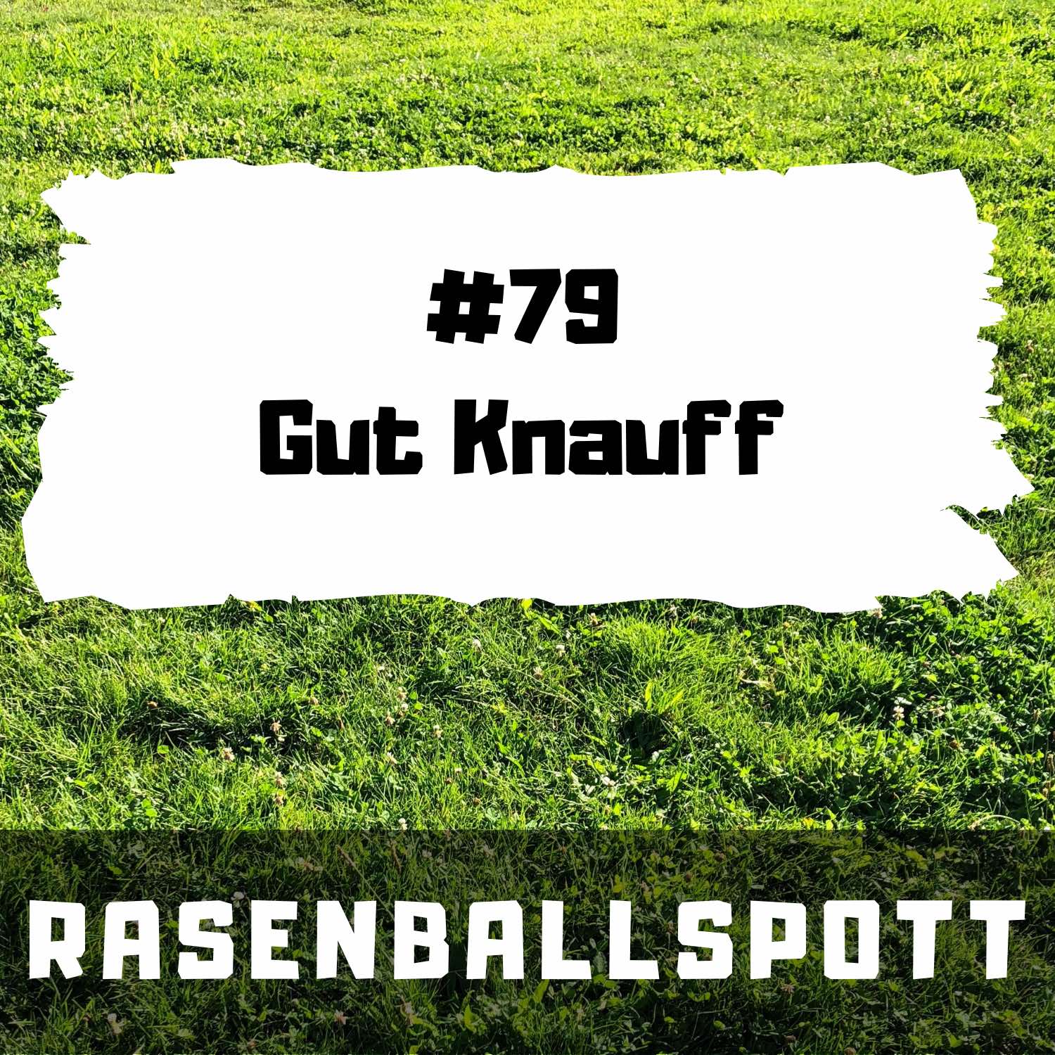 RASENBALLSPOTT