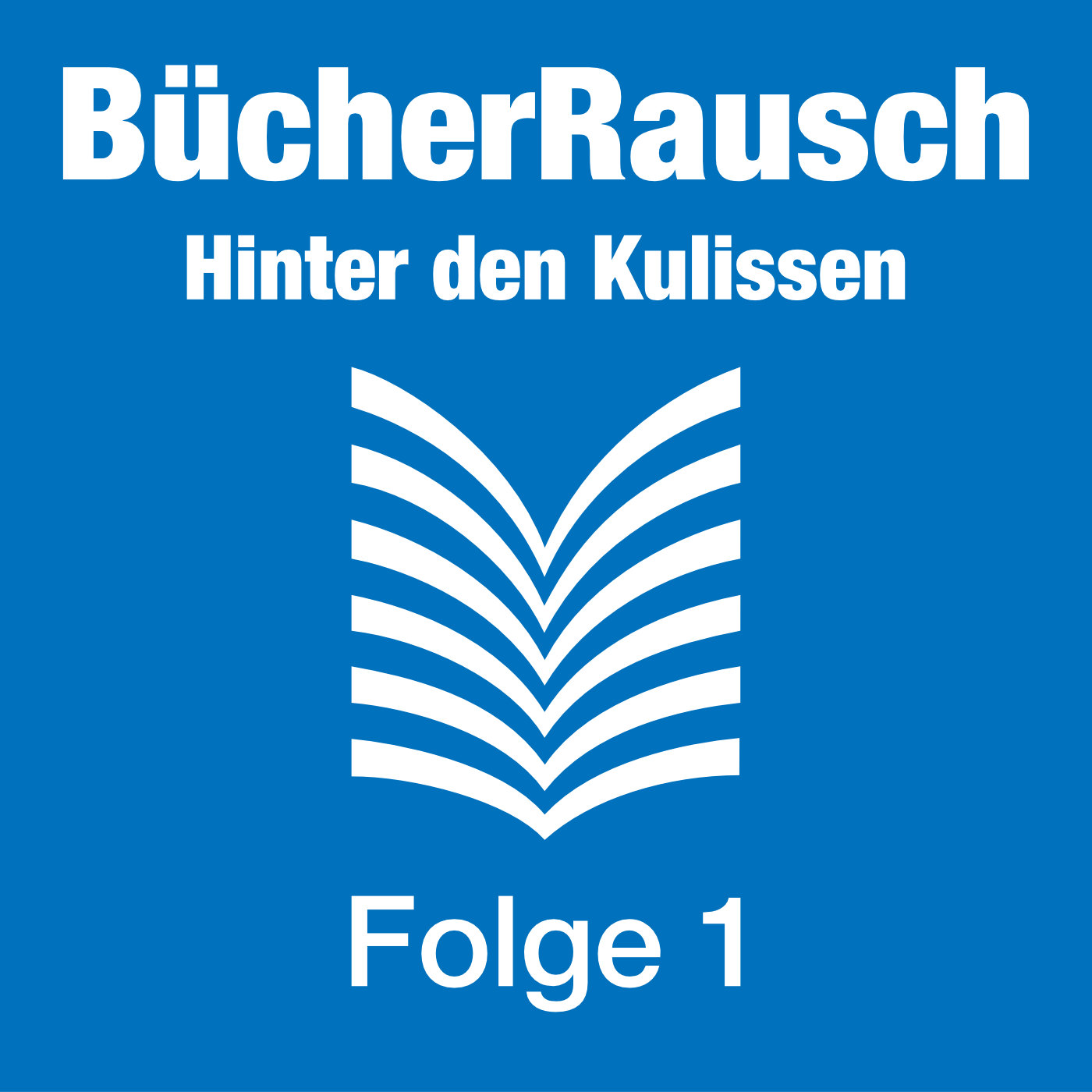 BücherRausch