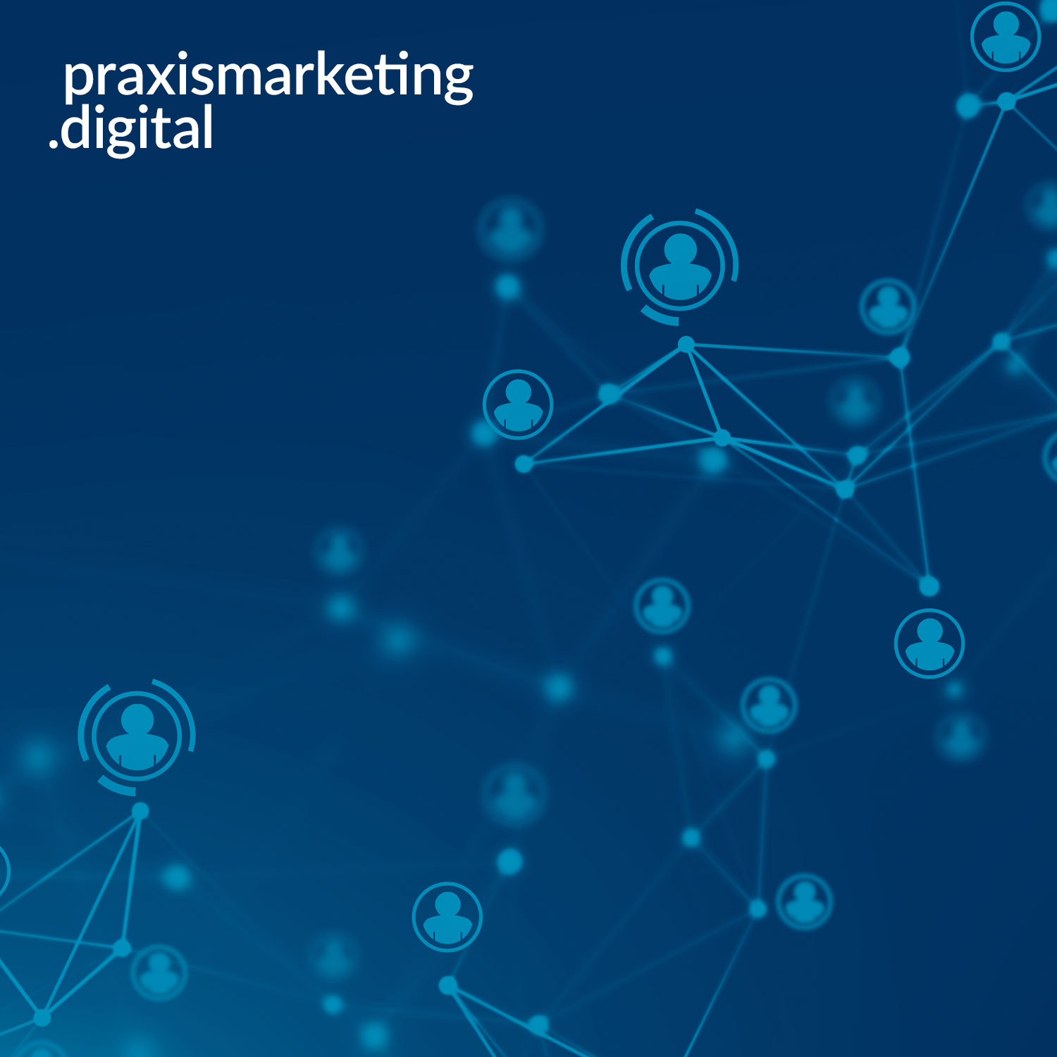 praxismarketing.digital