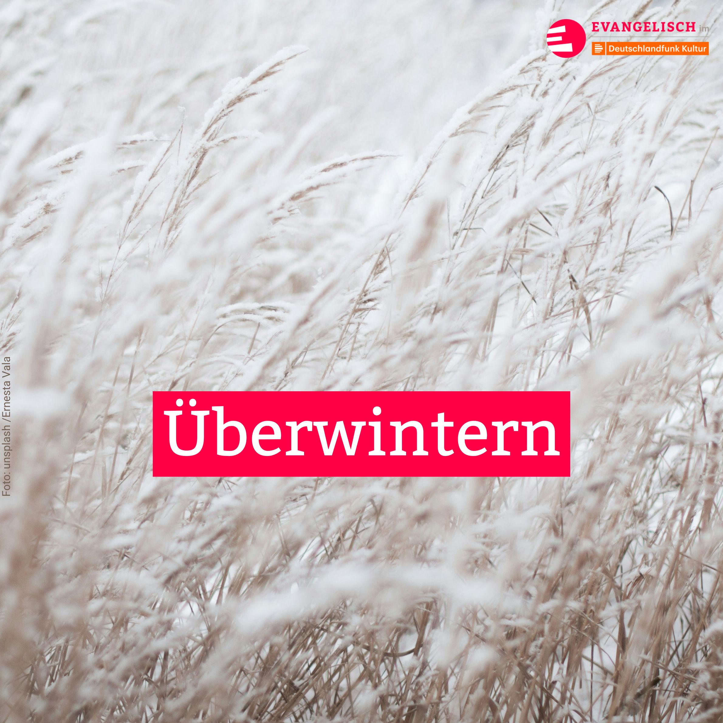 Überwintern episode artwork