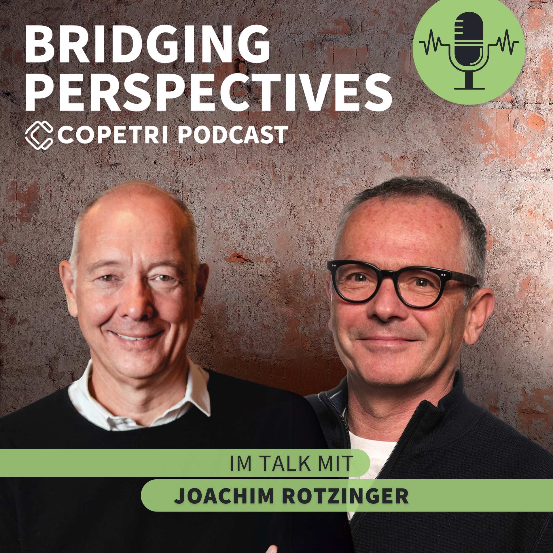 Bridging Perspectives - COPETRI Podcast