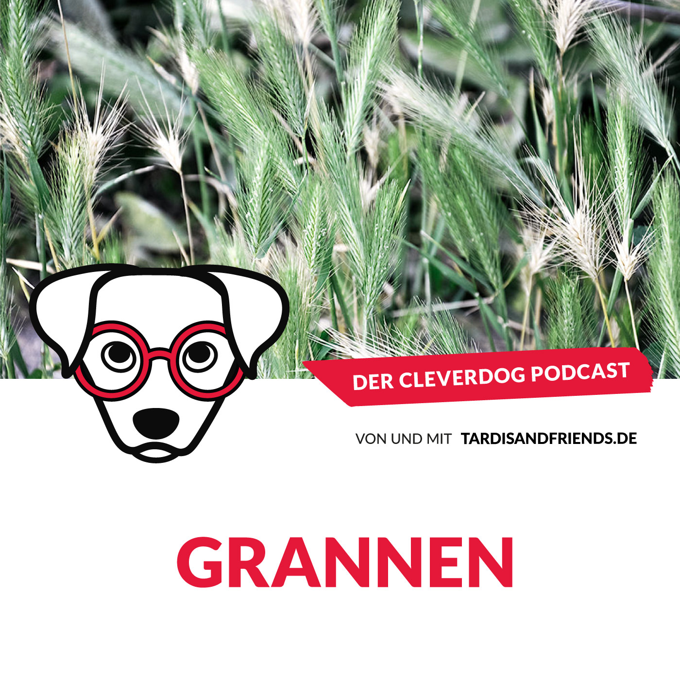 Der Cleverdog Podcast – mehr Wissen rund um den Hund!