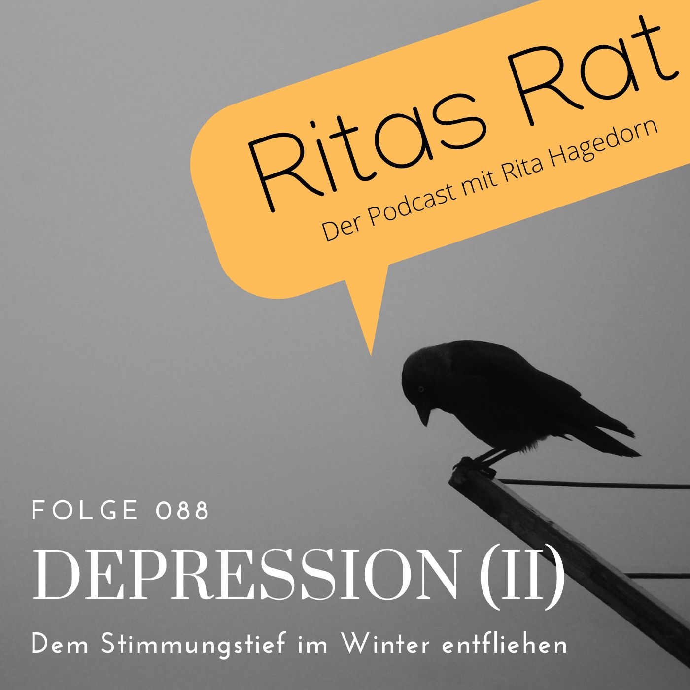 Ritas Rat