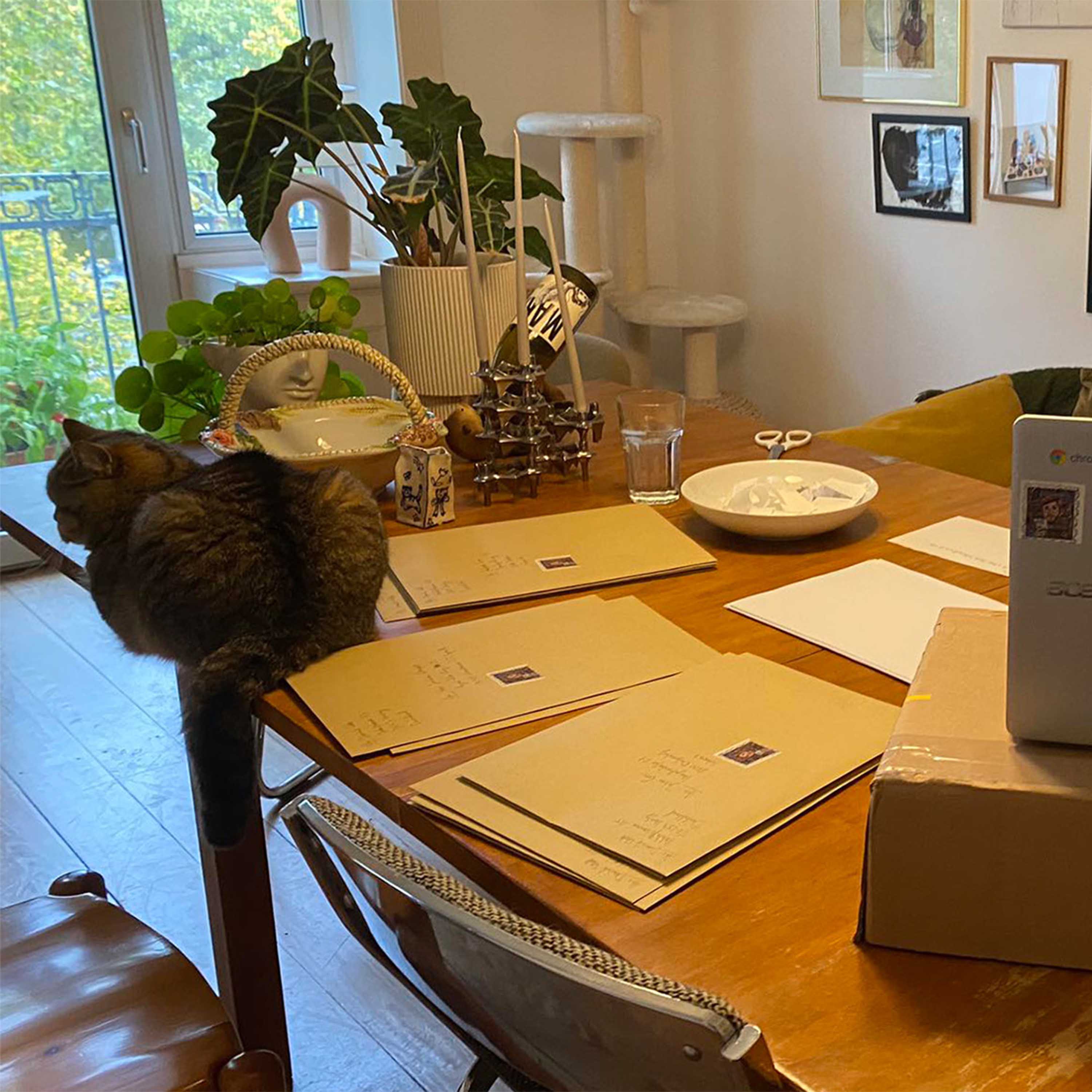 OK COOL packt aus: Bereit für die nächsten, großen Schritte