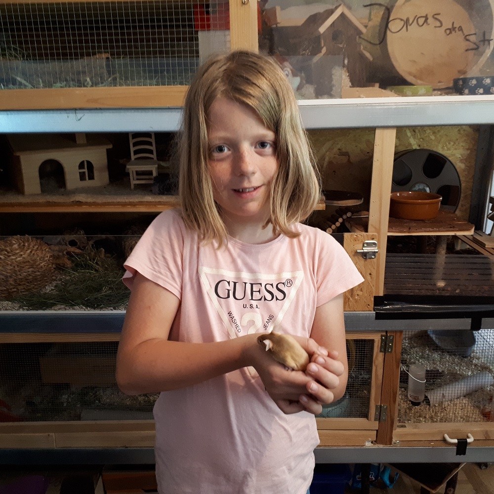 Kurzwelle - das Kindermagazin von Radio Feierwerk