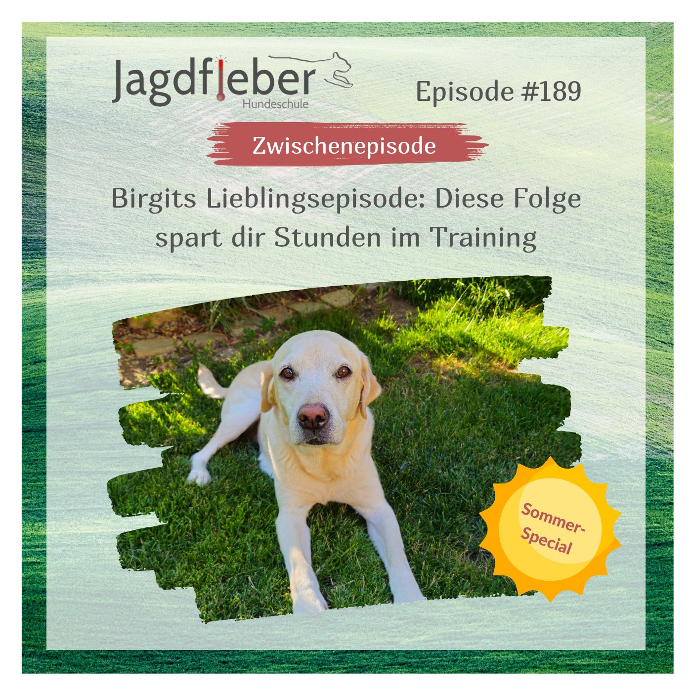 P189: Birgits Lieblingsepisode: Diese Folge spart dir Stunden im Training