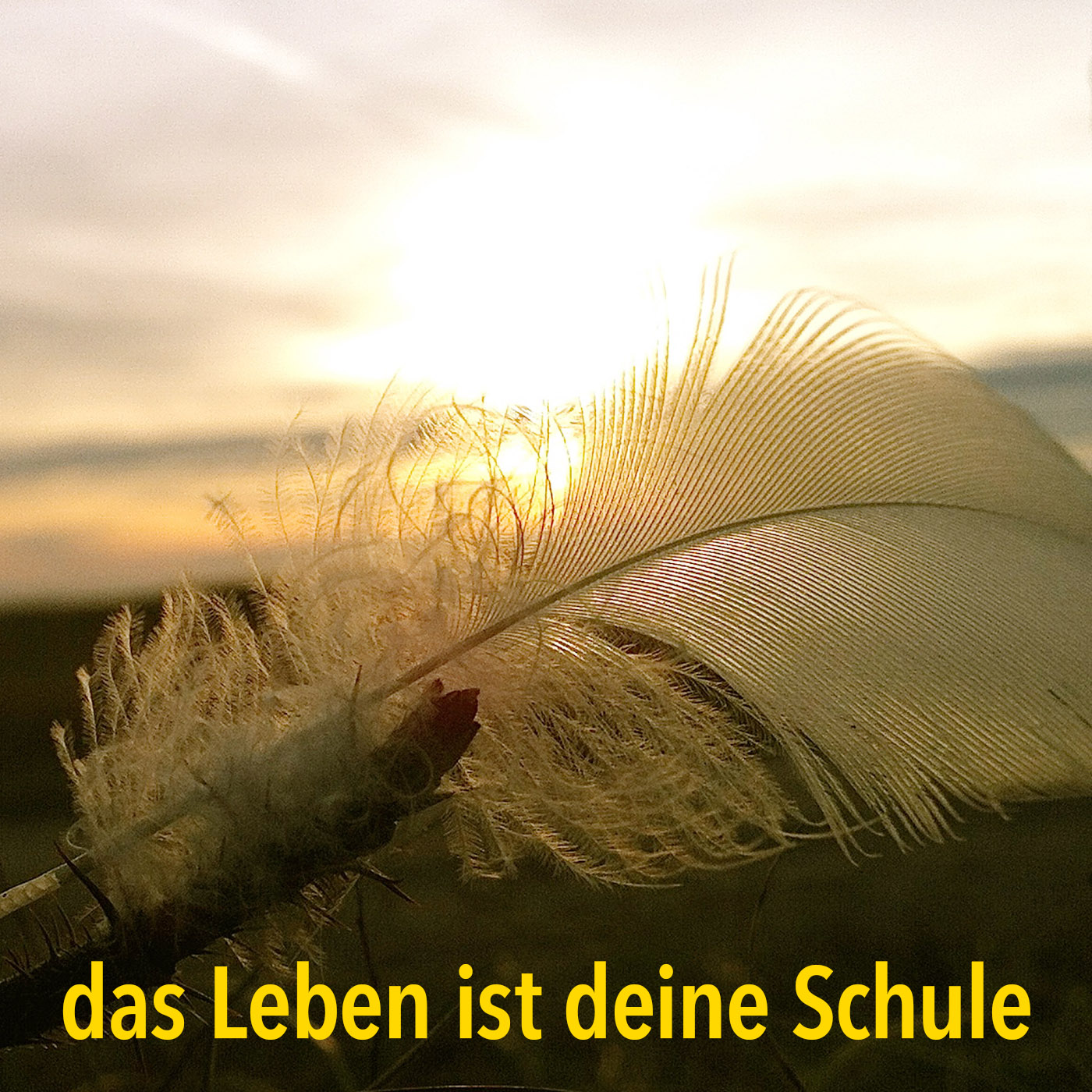 das Leben ist deine Schule