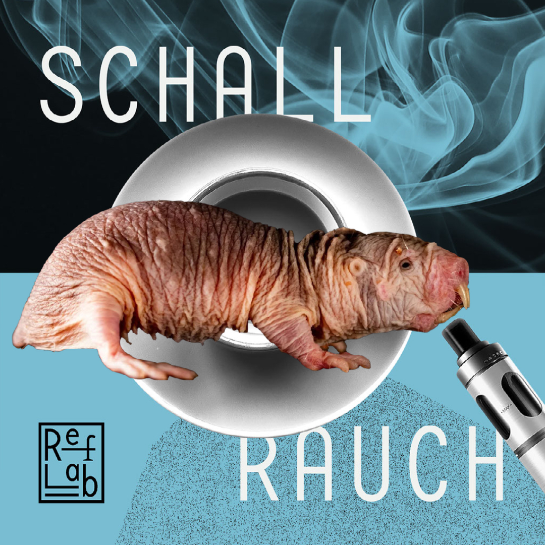 Schall & Rauch: ein RefLab-Podcast