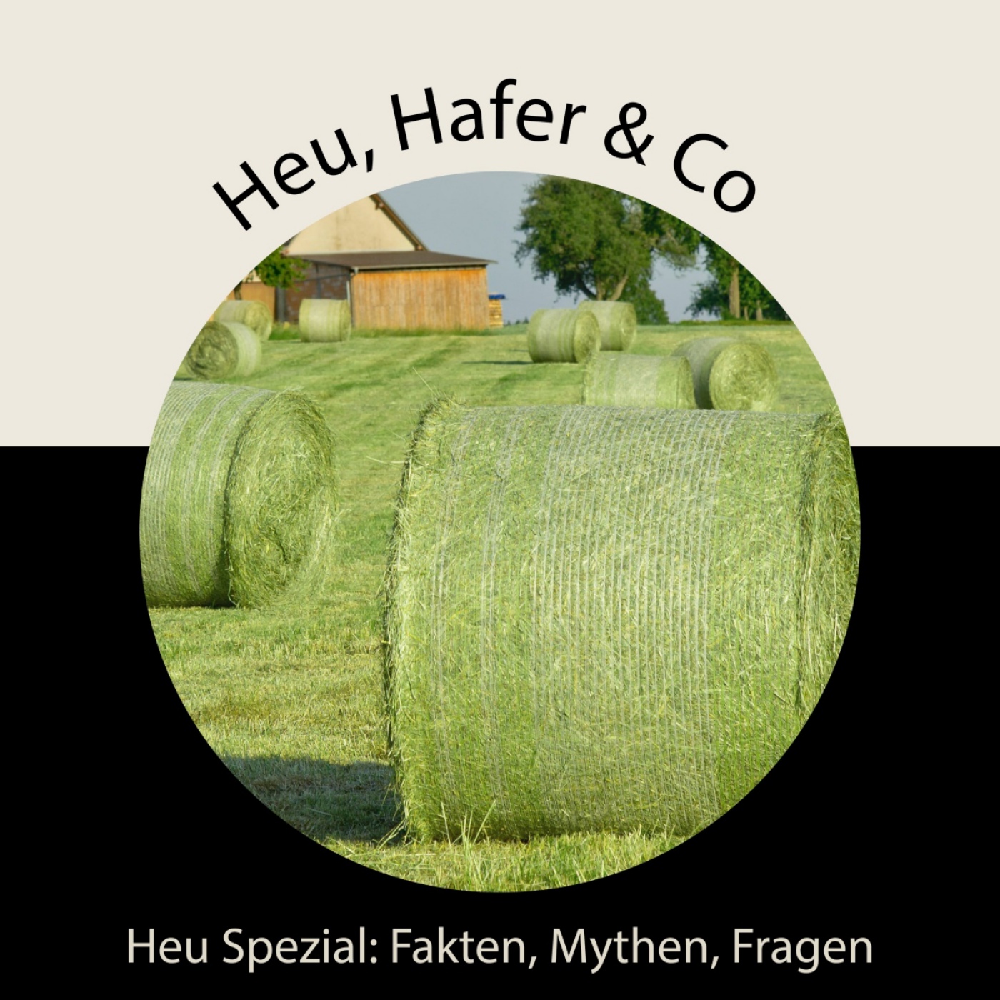 Heu, Hafer & Co: Der Pferdefutter-Podcast