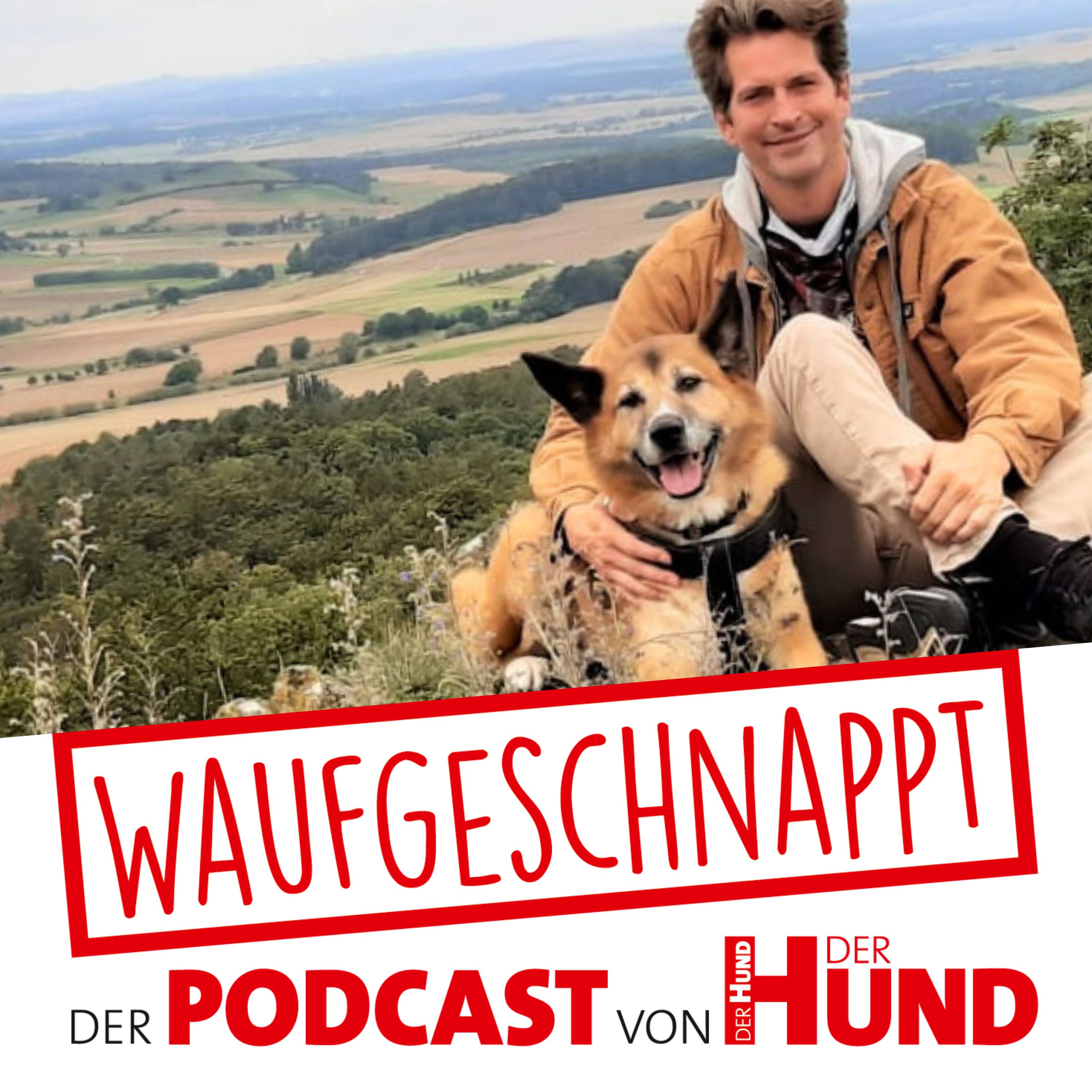 Waufgeschnappt - der Podcast von DER HUND