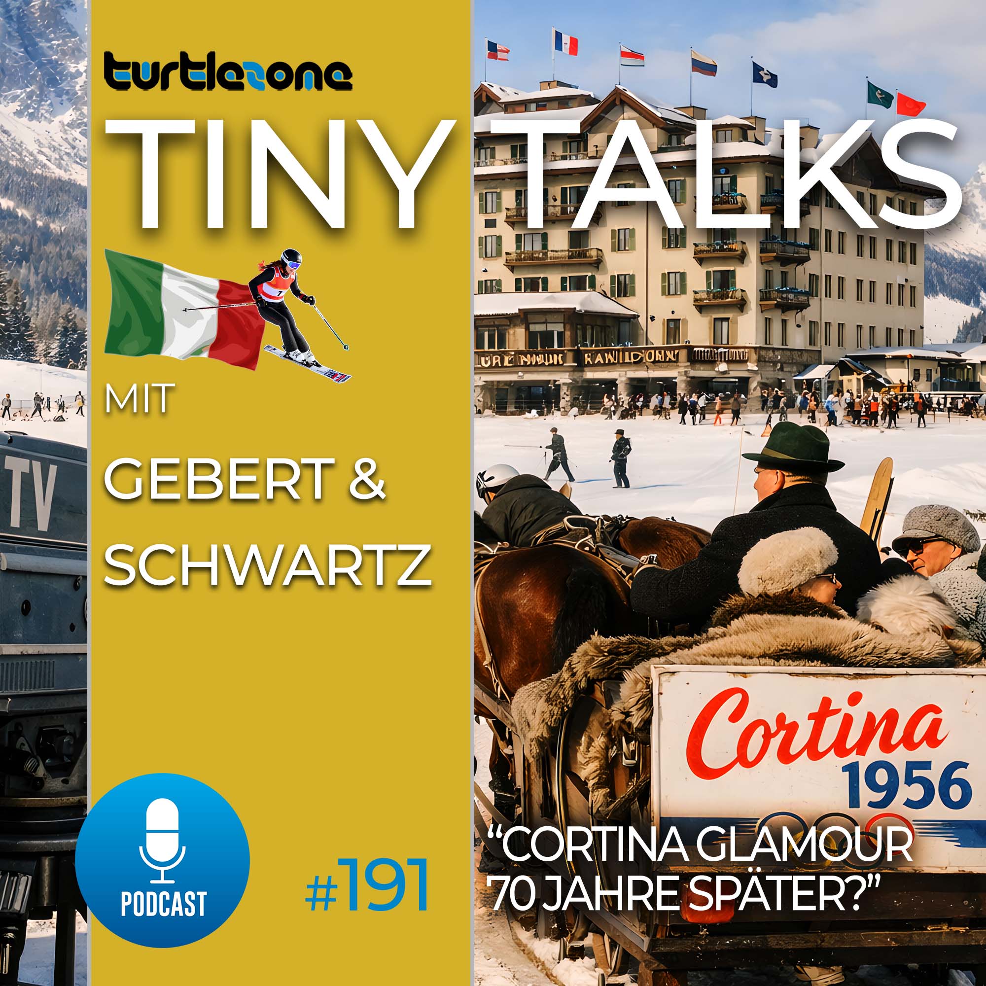Turtlezone Tiny Talks - Der Debatten-Podcast mit Gebert und Schwartz