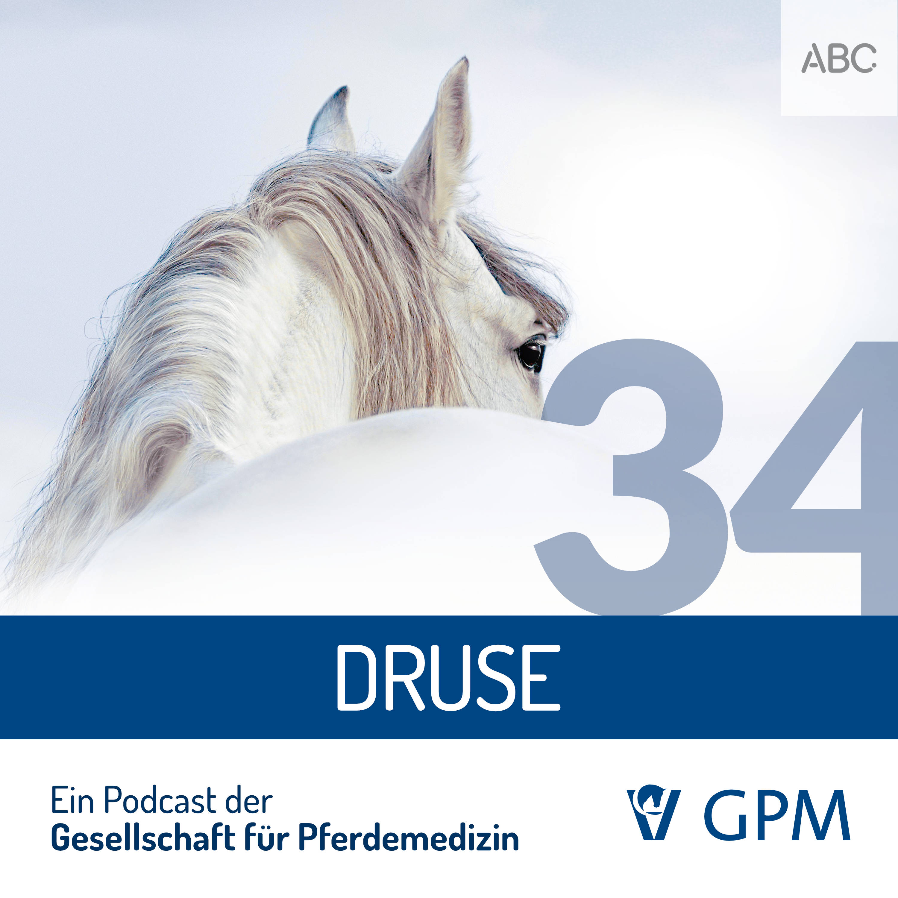 Pferdemedizin heute