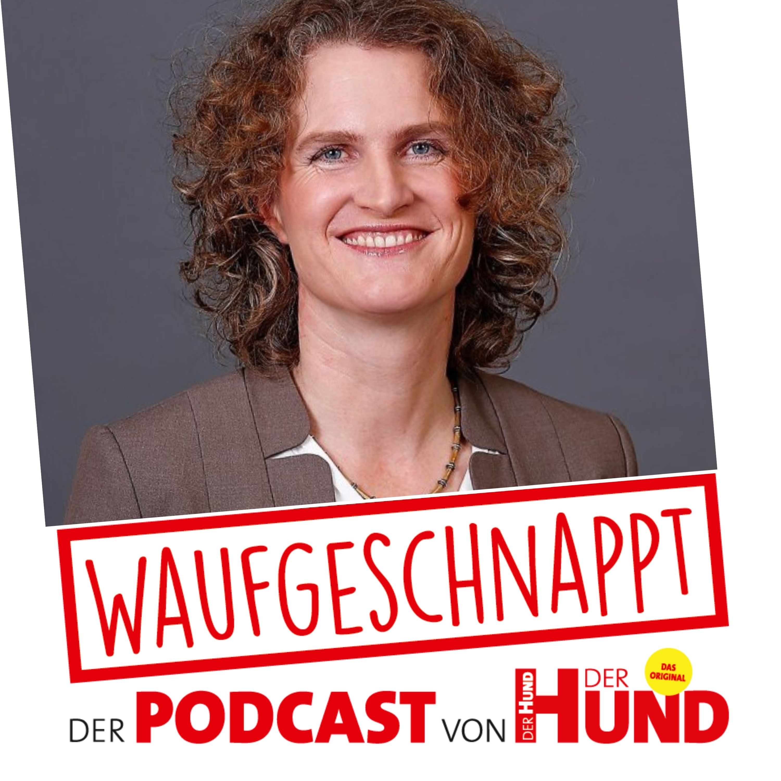 Waufgeschnappt - der Podcast von DER HUND
