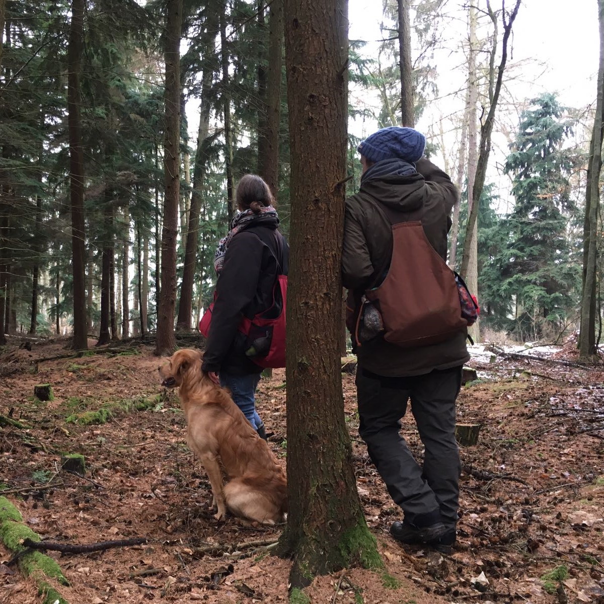 P010: Das Trainingsfeld Frustrationstoleranz