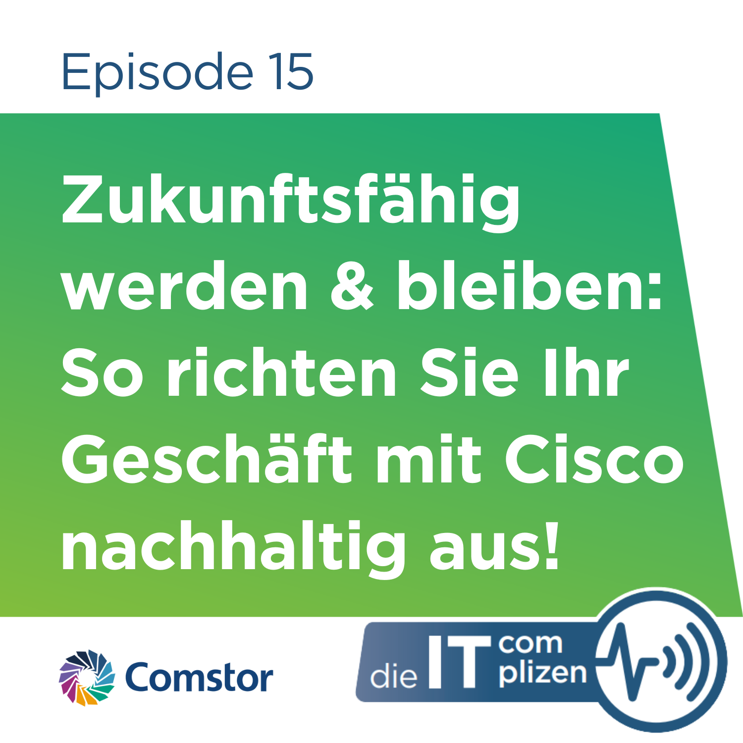 Comstor - Die IT Complizen
