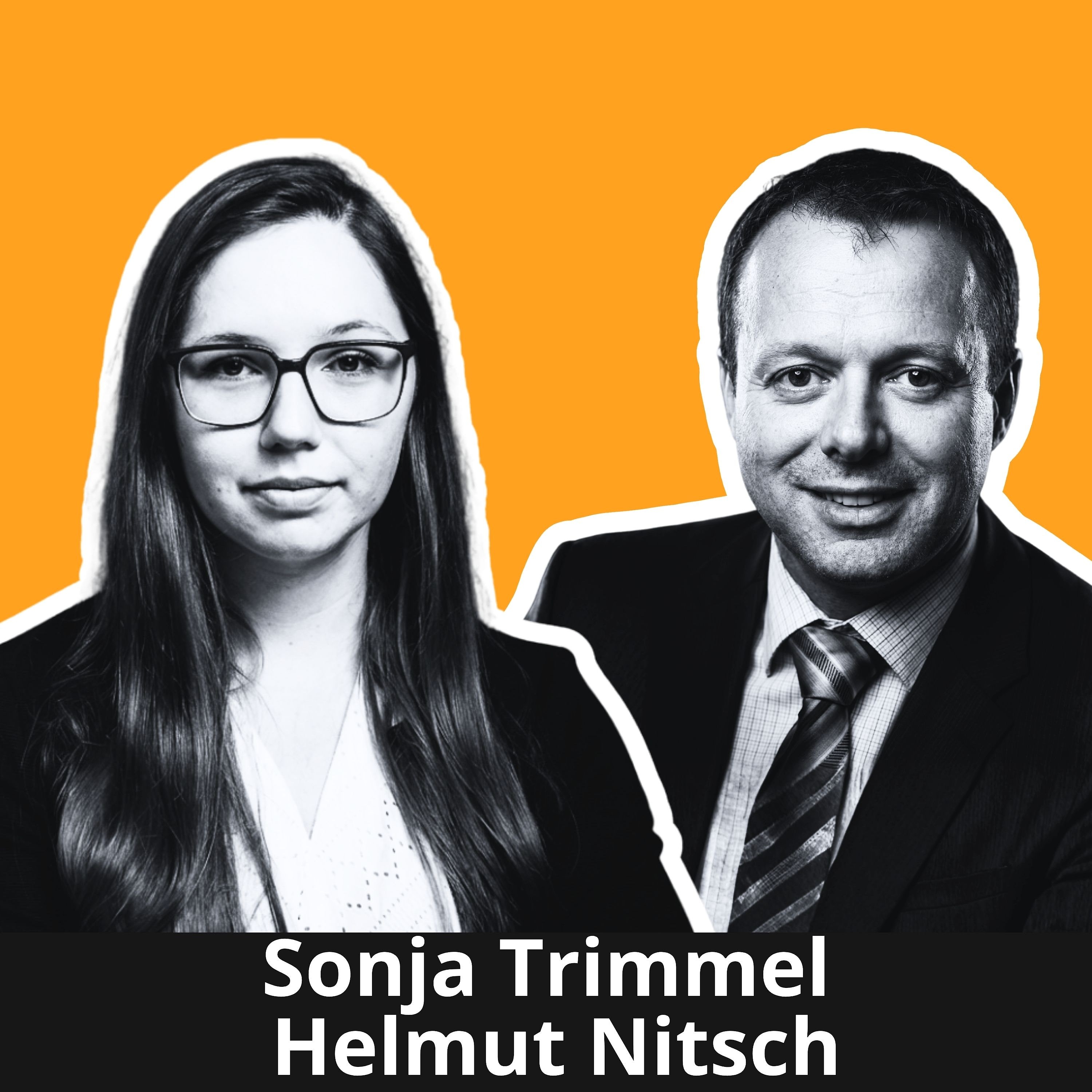 Software-Analyse: Altsystem bewerten, bevor du es kaufst - Sonja Trimmel, Helmut Nitsch