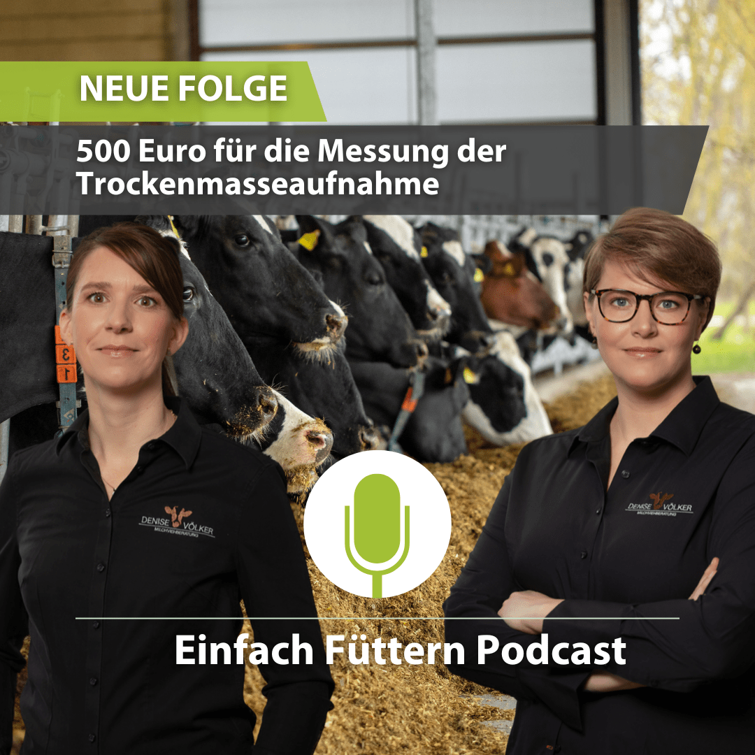 Einfach Füttern Podcast
