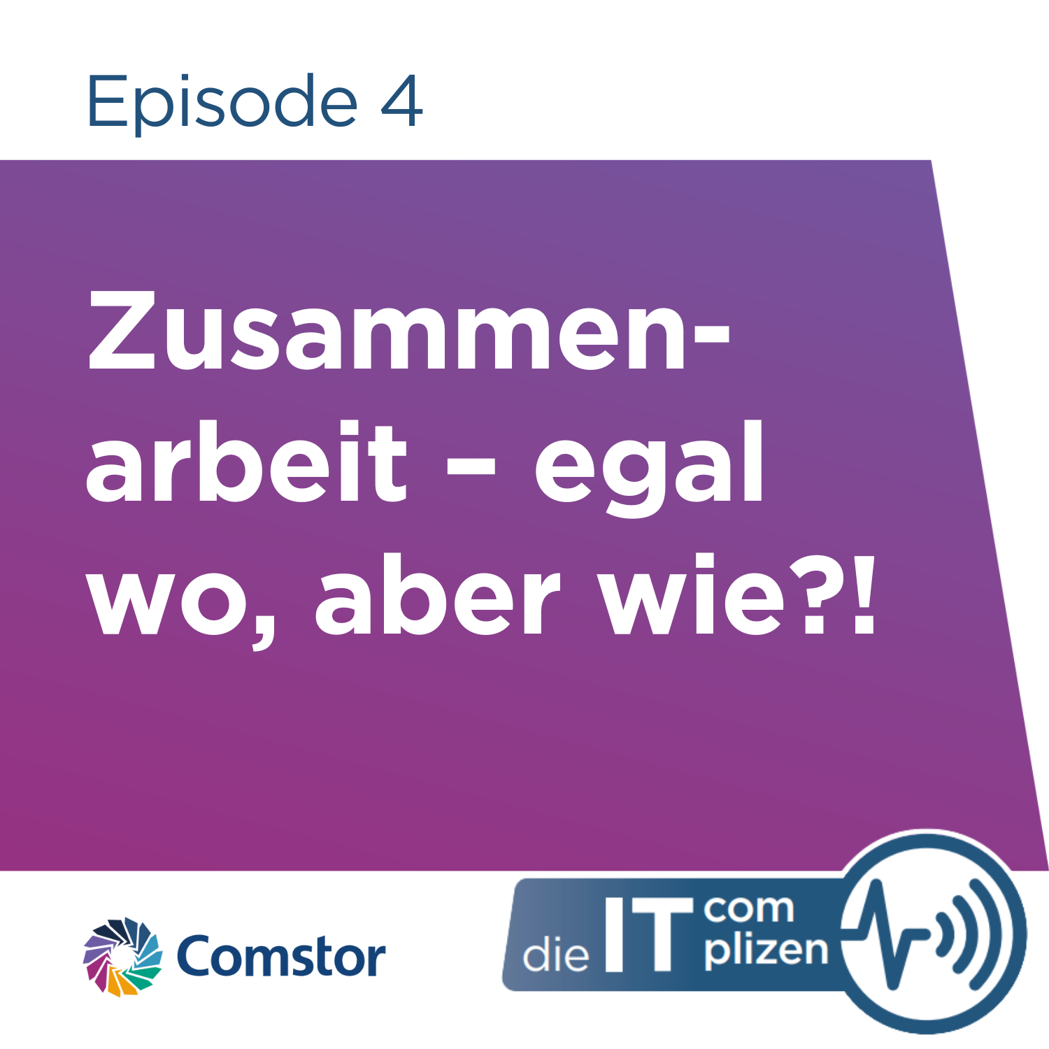 Comstor - Die IT Complizen