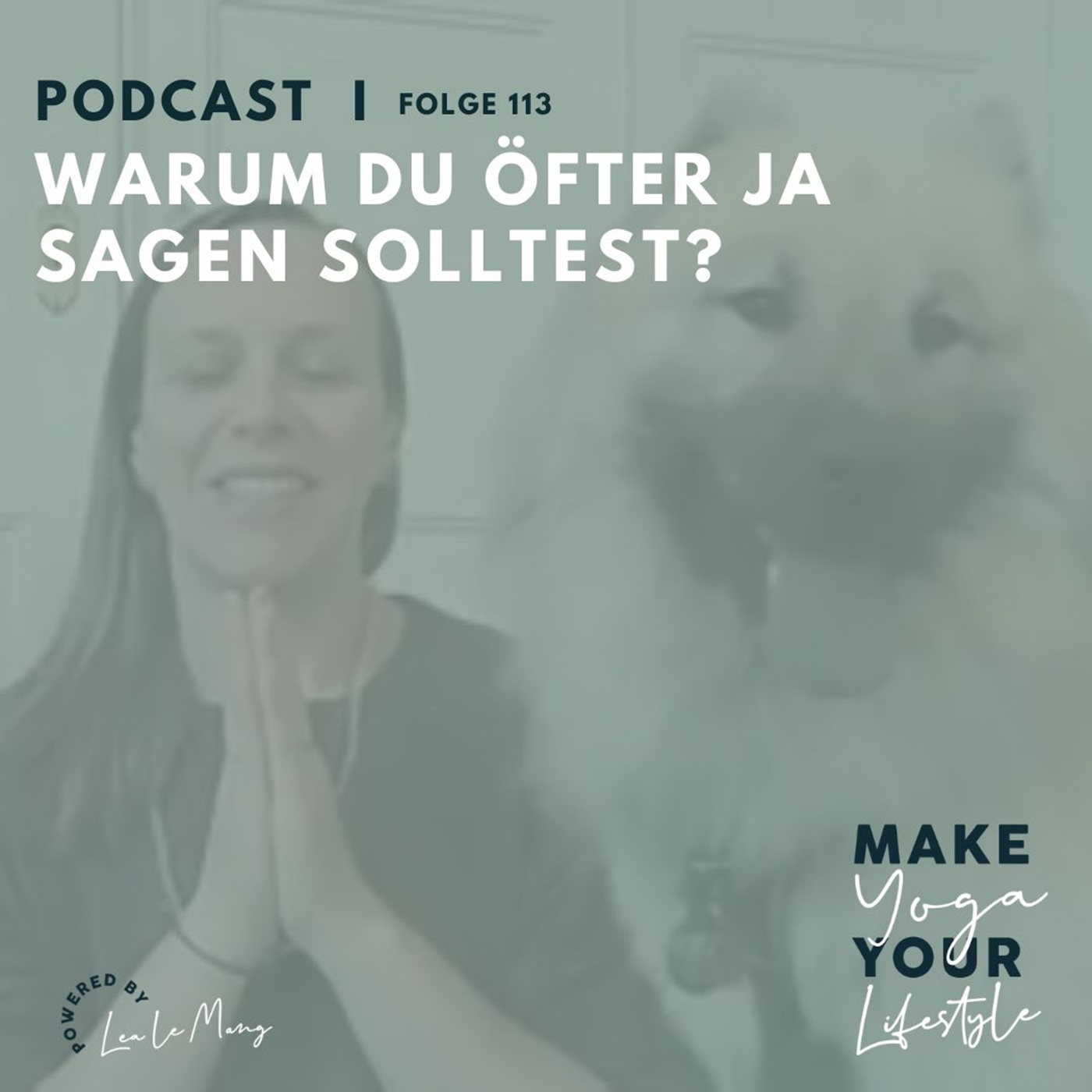113 - Warum du öfter Ja sagen solltest 113 - Warum du öfter Ja sagen solltest