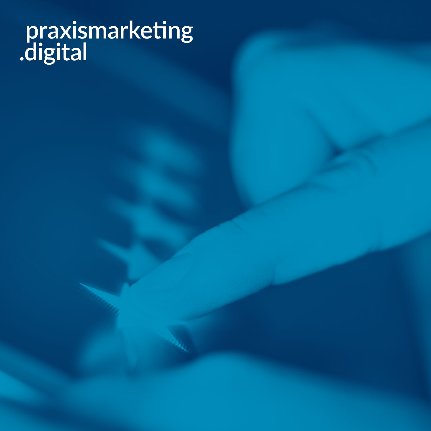 praxismarketing.digital