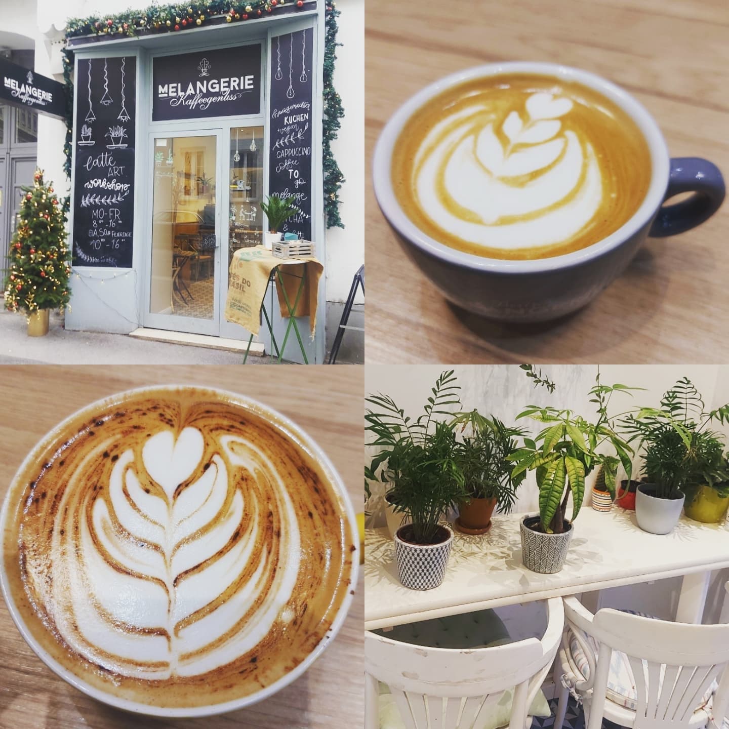 Wiener Kaffeehausgeschichte(n)
