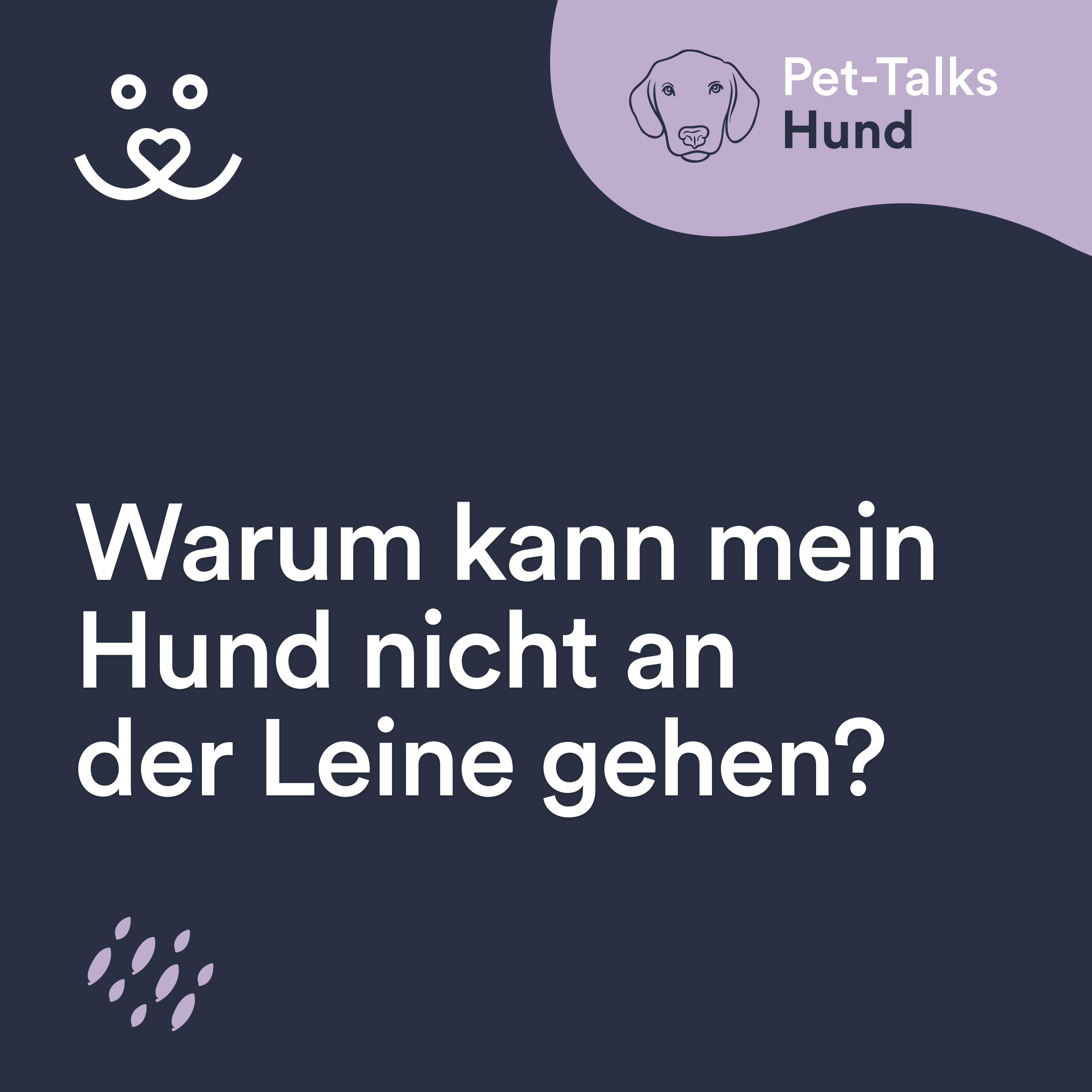 Pet-Talks: Hund – der Ratgeber-Podcast von DeineTierwelt
