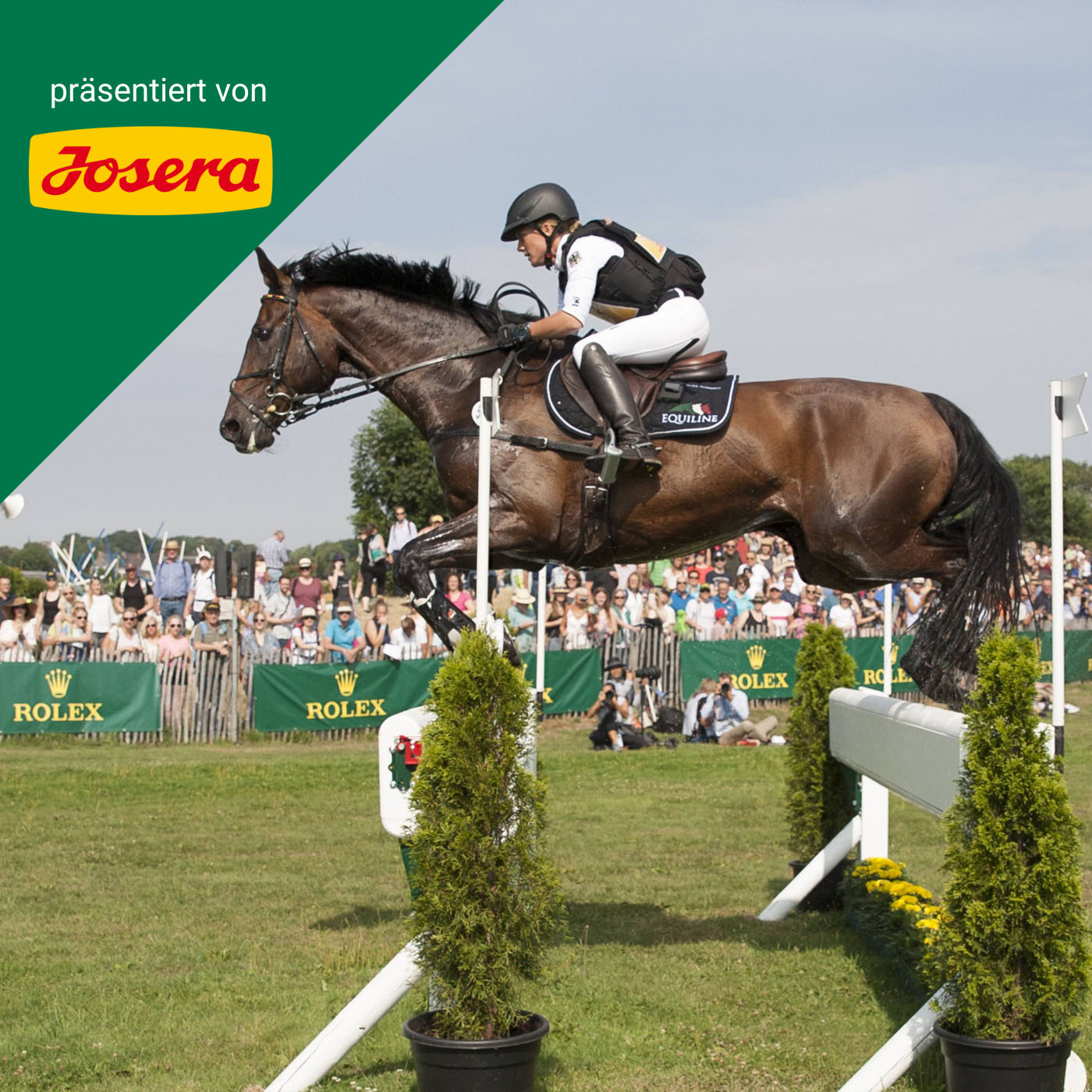 Julis Eventer Podcast