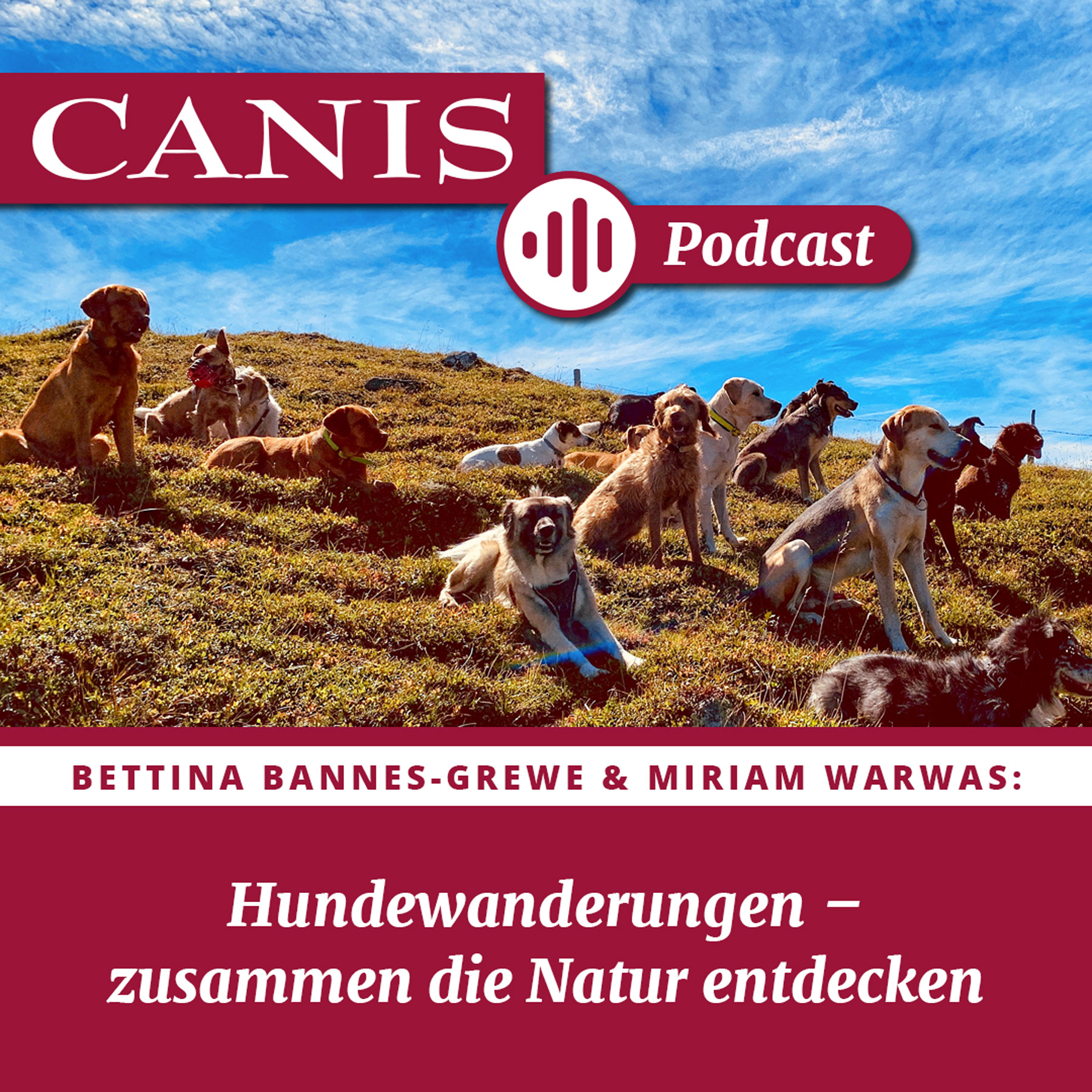 Der CANIS-Podcast – Hundeexpert:innen ausgefragt