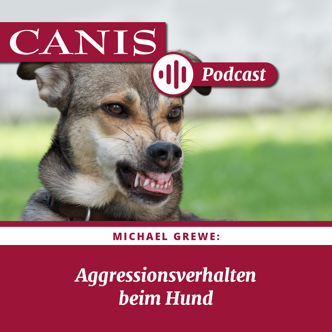 Der CANIS-Podcast – Hundeexpert:innen ausgefragt