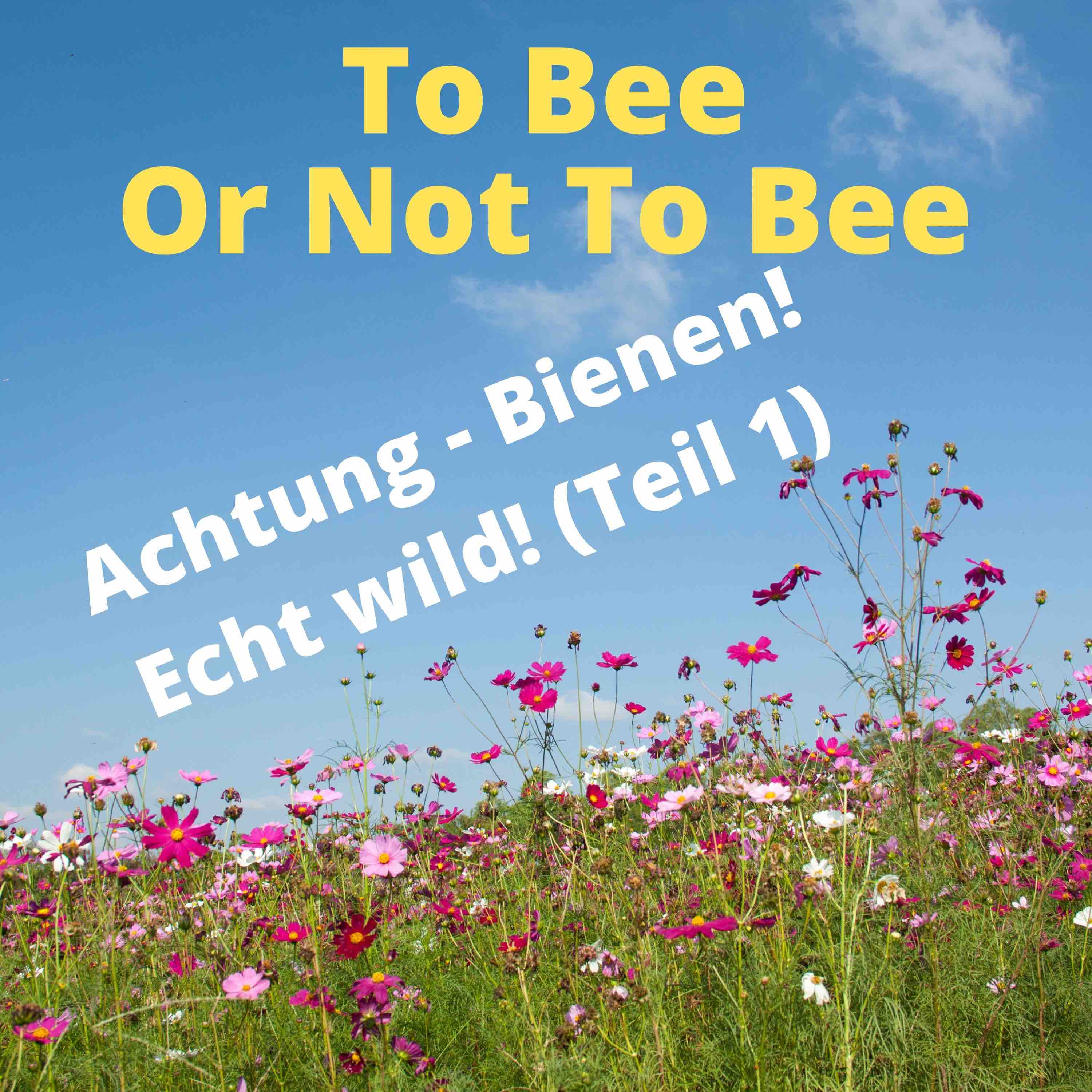 To Bee Or Not To Bee #9