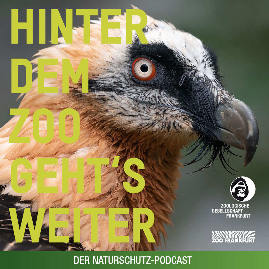 Hinter dem Zoo geht\'s weiter - Der Naturschutzpodcast aus Frankfurt