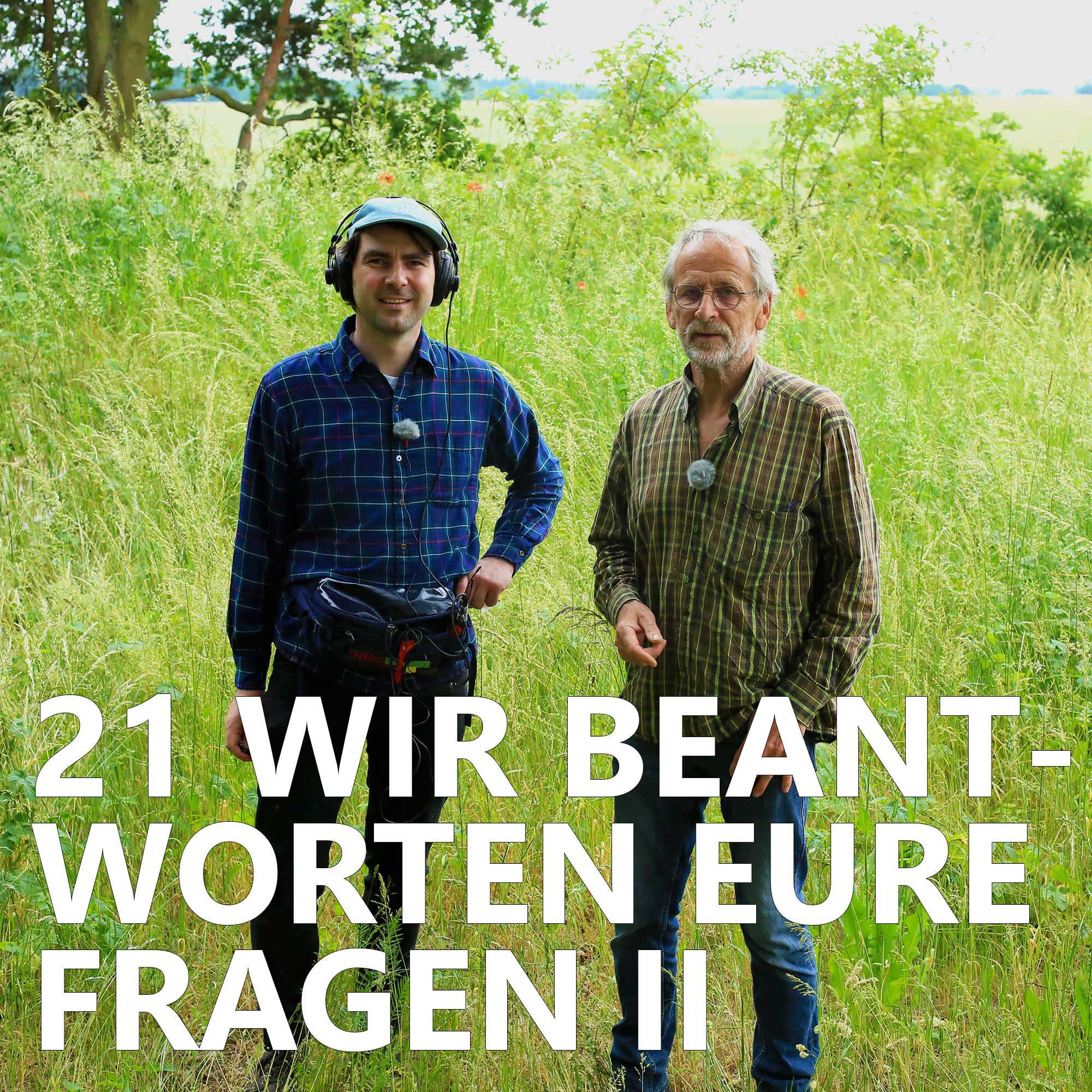 Der Pilzpodcast