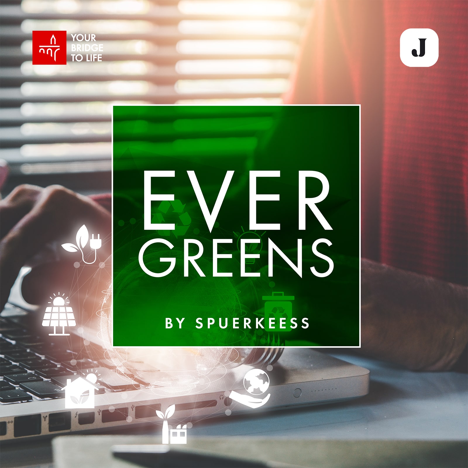 Evergreens by Spuerkeess