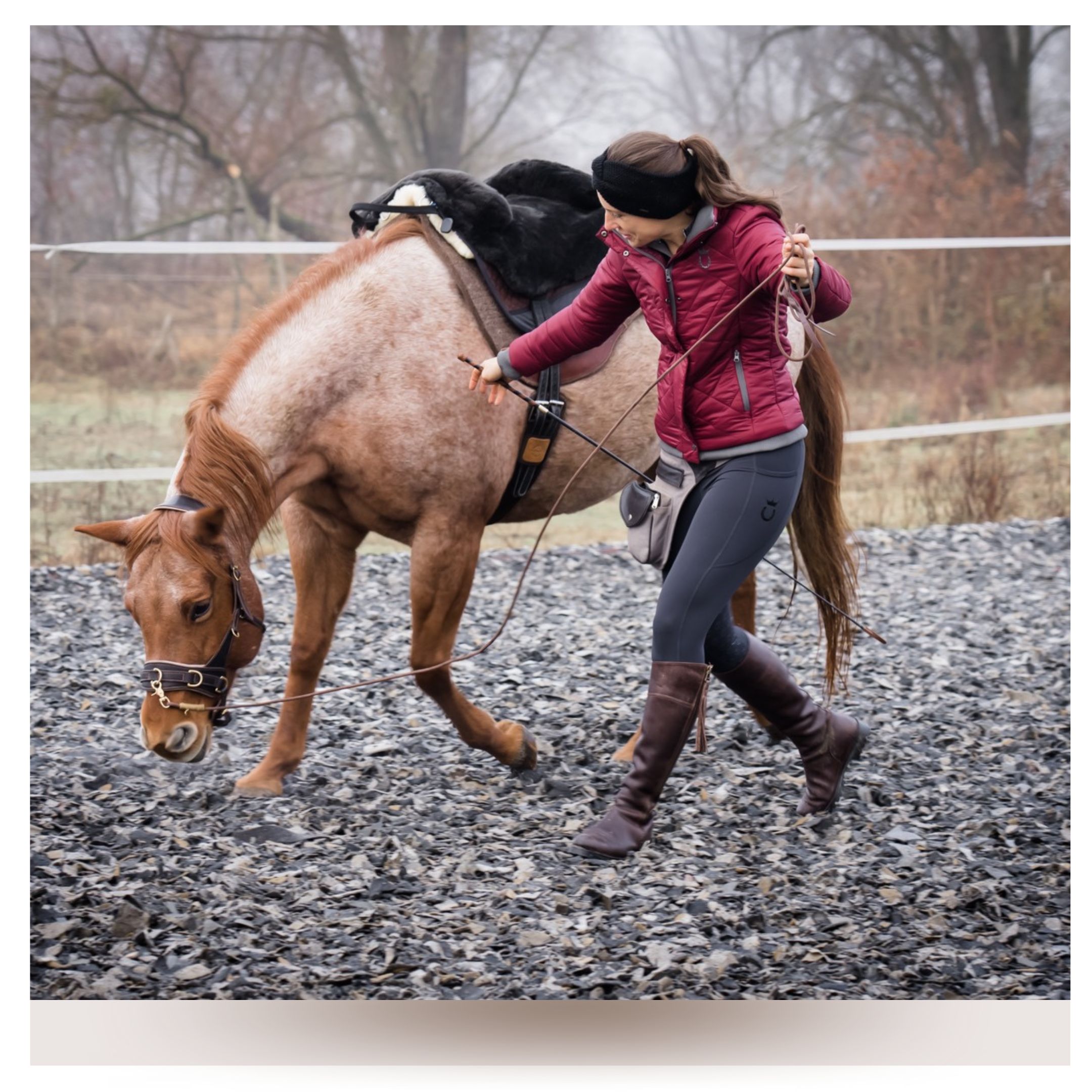Wie du besser mit deinem Pferd „reden“ kannst – Pferdeflüsterei TO GO ...