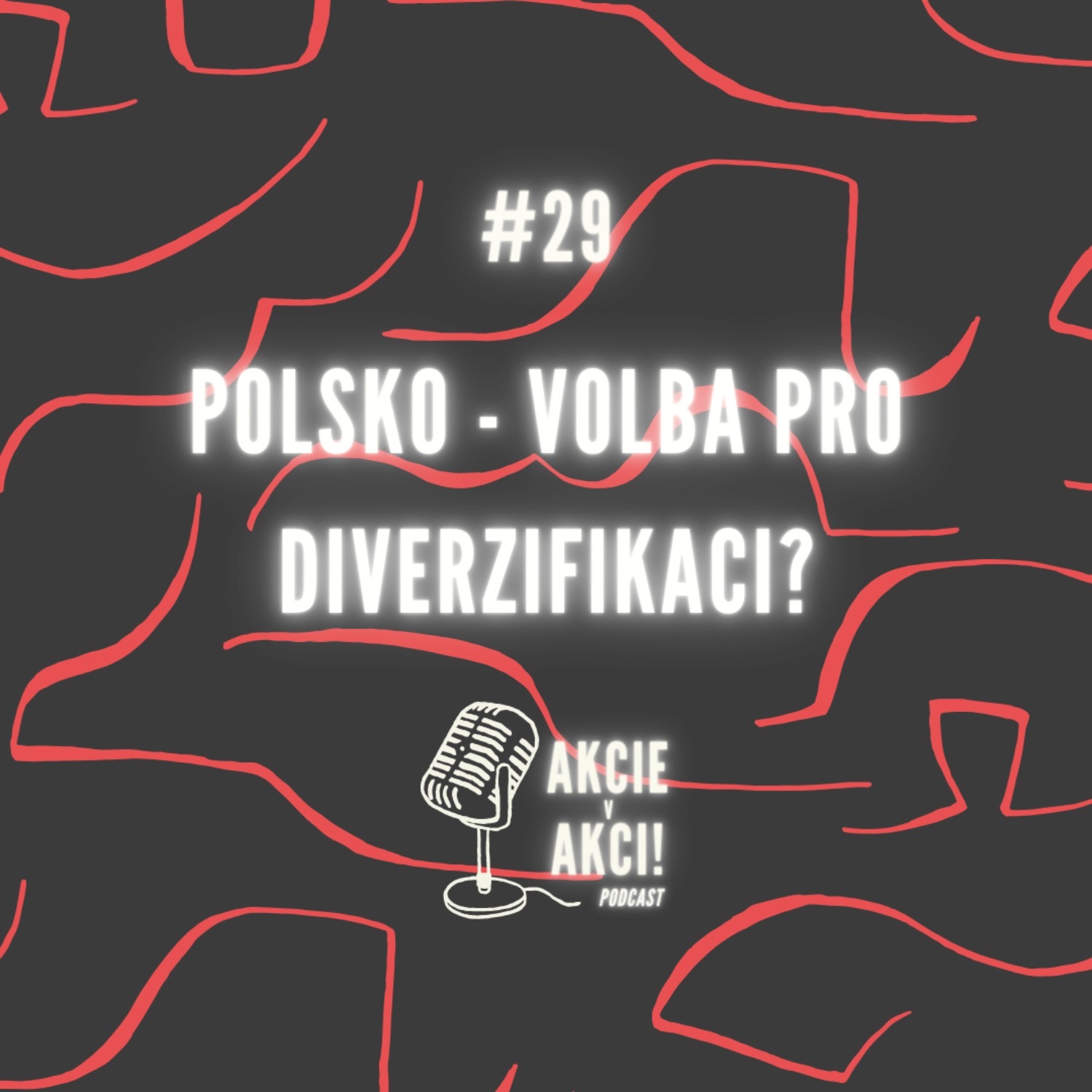 #29 POLSKO - VOLBA PRO DIVERZIFIKACI?