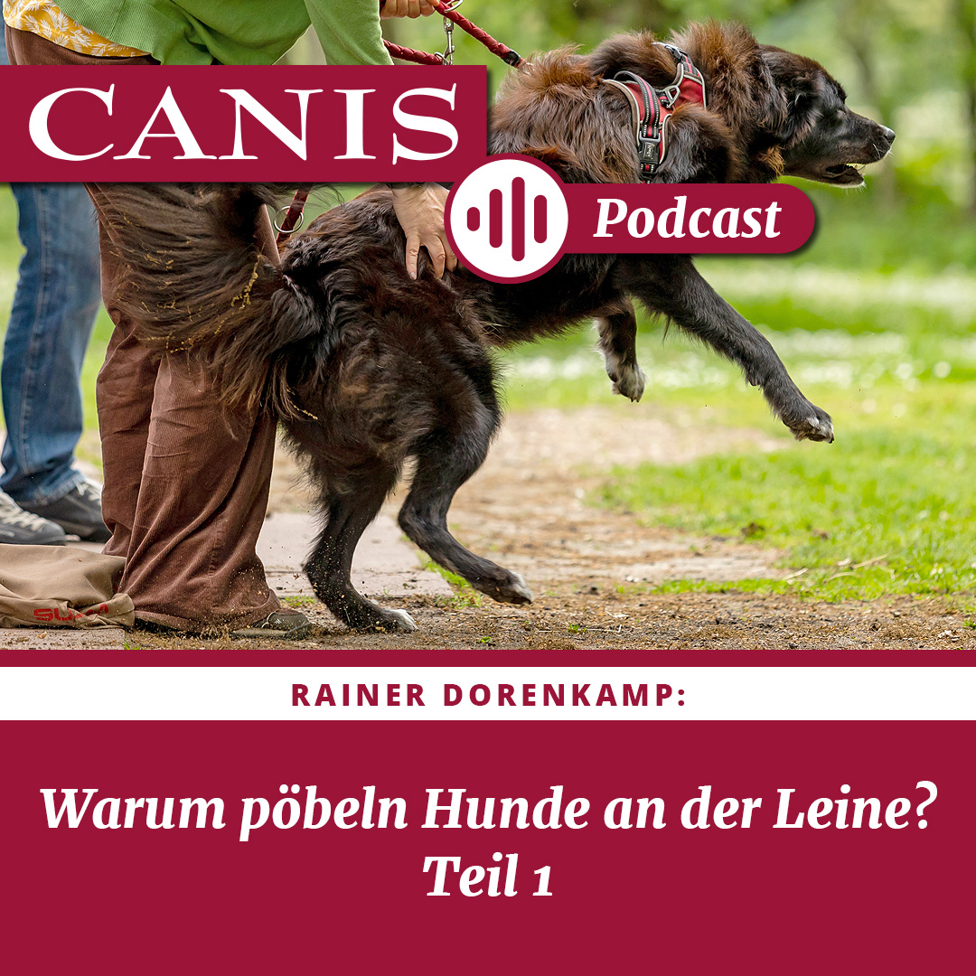 Der CANIS-Podcast – Hundeexpert:innen ausgefragt