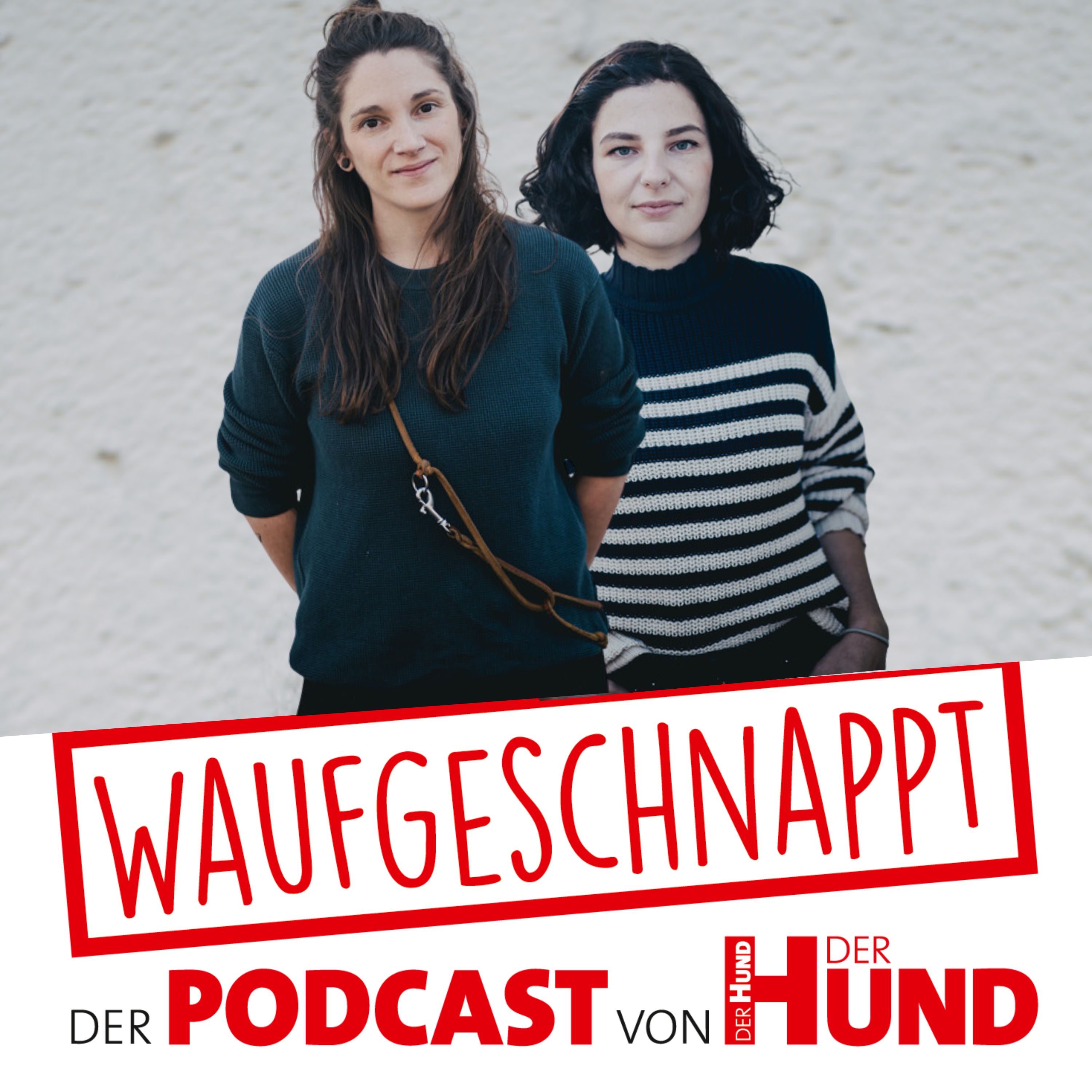Waufgeschnappt - der Podcast von DER HUND