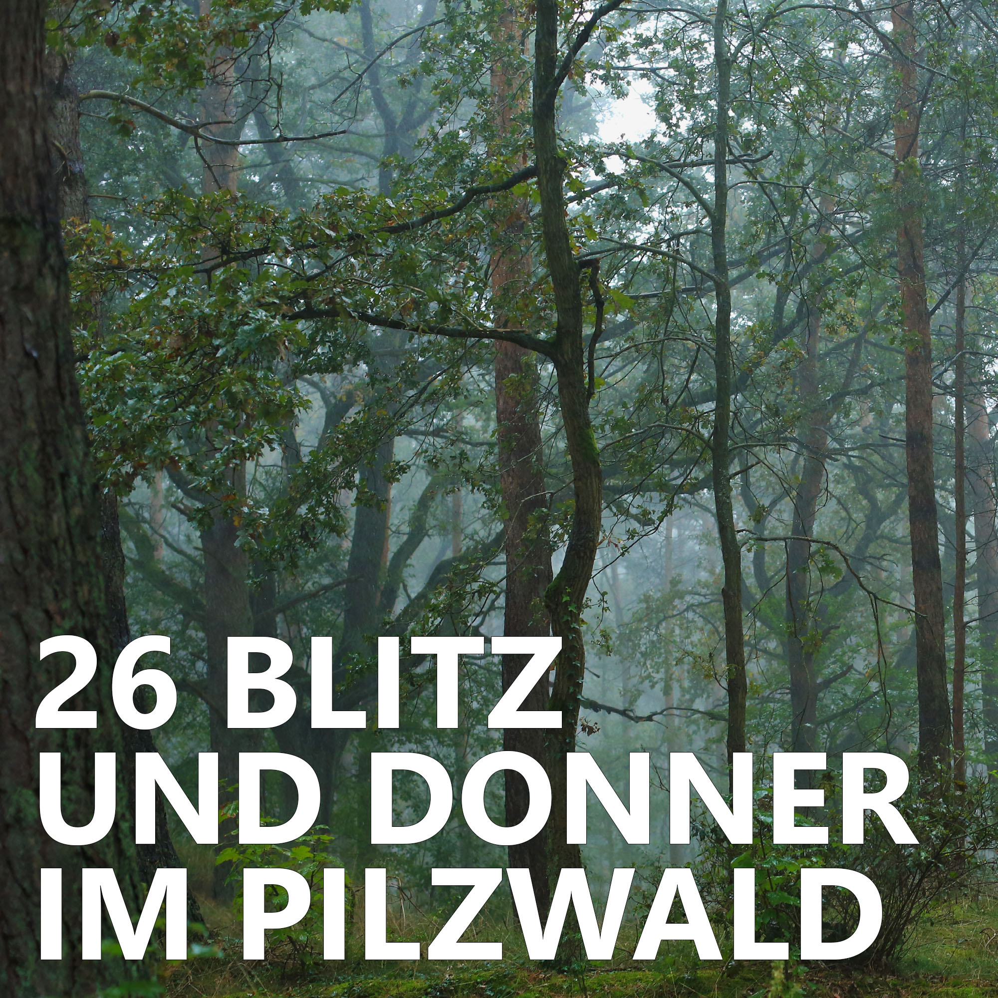 Der Pilzpodcast