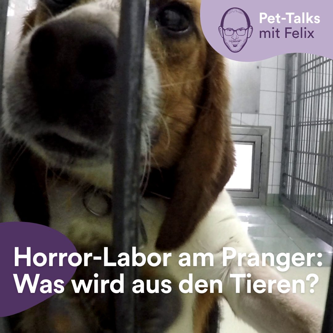 Pet-Talks: Klartext – der Interview-Podcast von DeineTierwelt