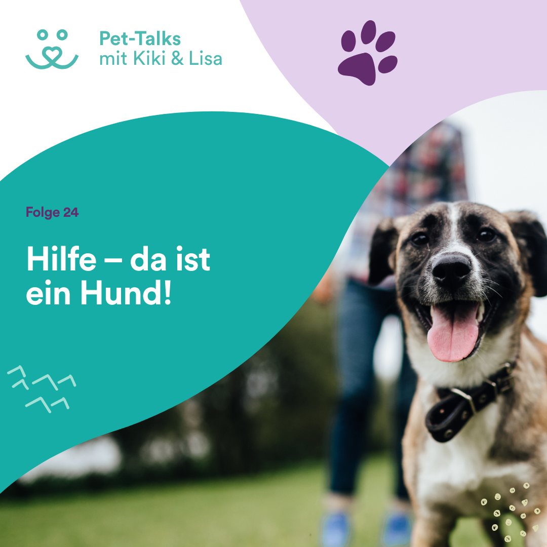 Pet-Talks mit Kiki & Lisa - der Hunde-Podcast von DeineTierwelt