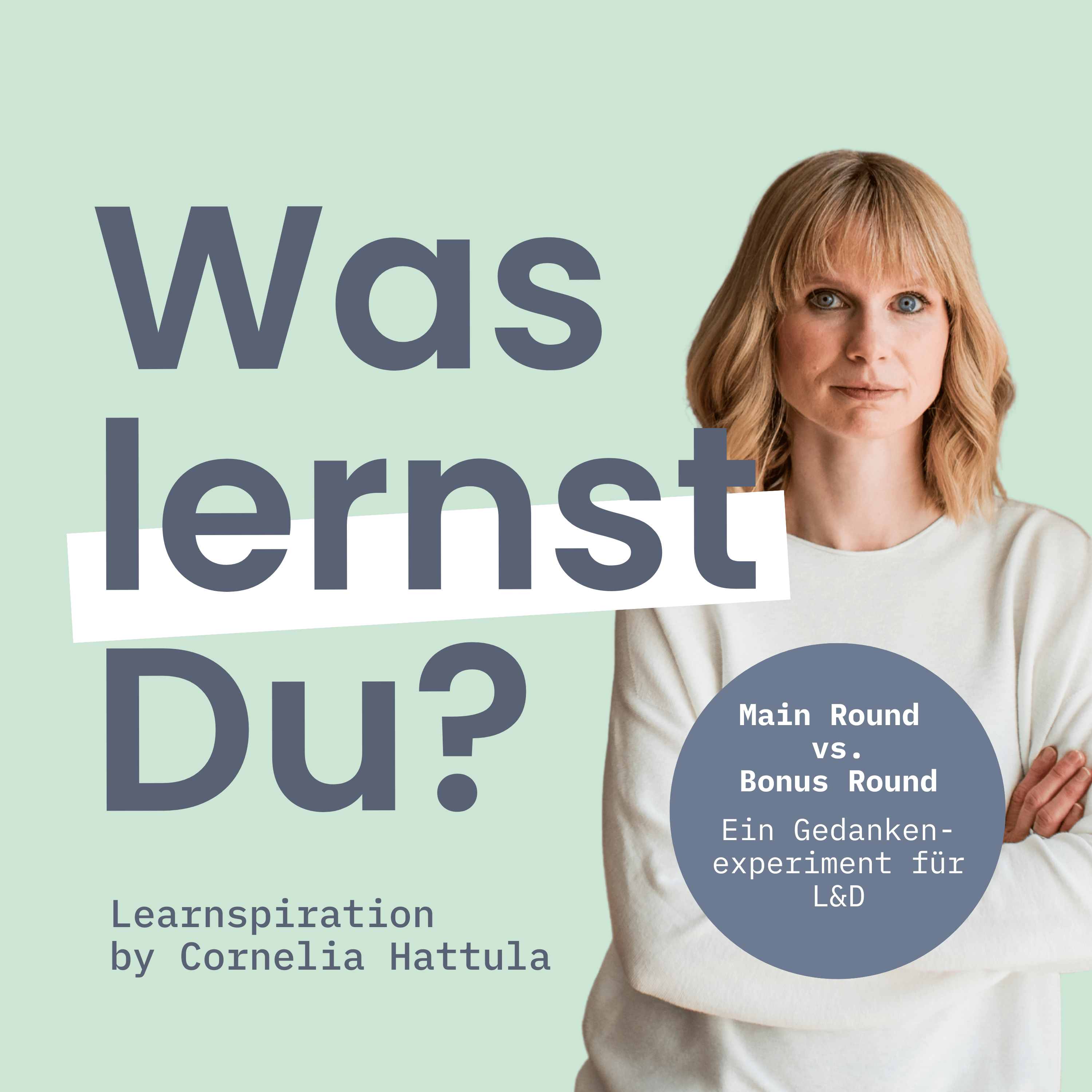 #167 – Main Round vs. Bonus Round: Ein Gedankenexperiment für L&D episode artwork