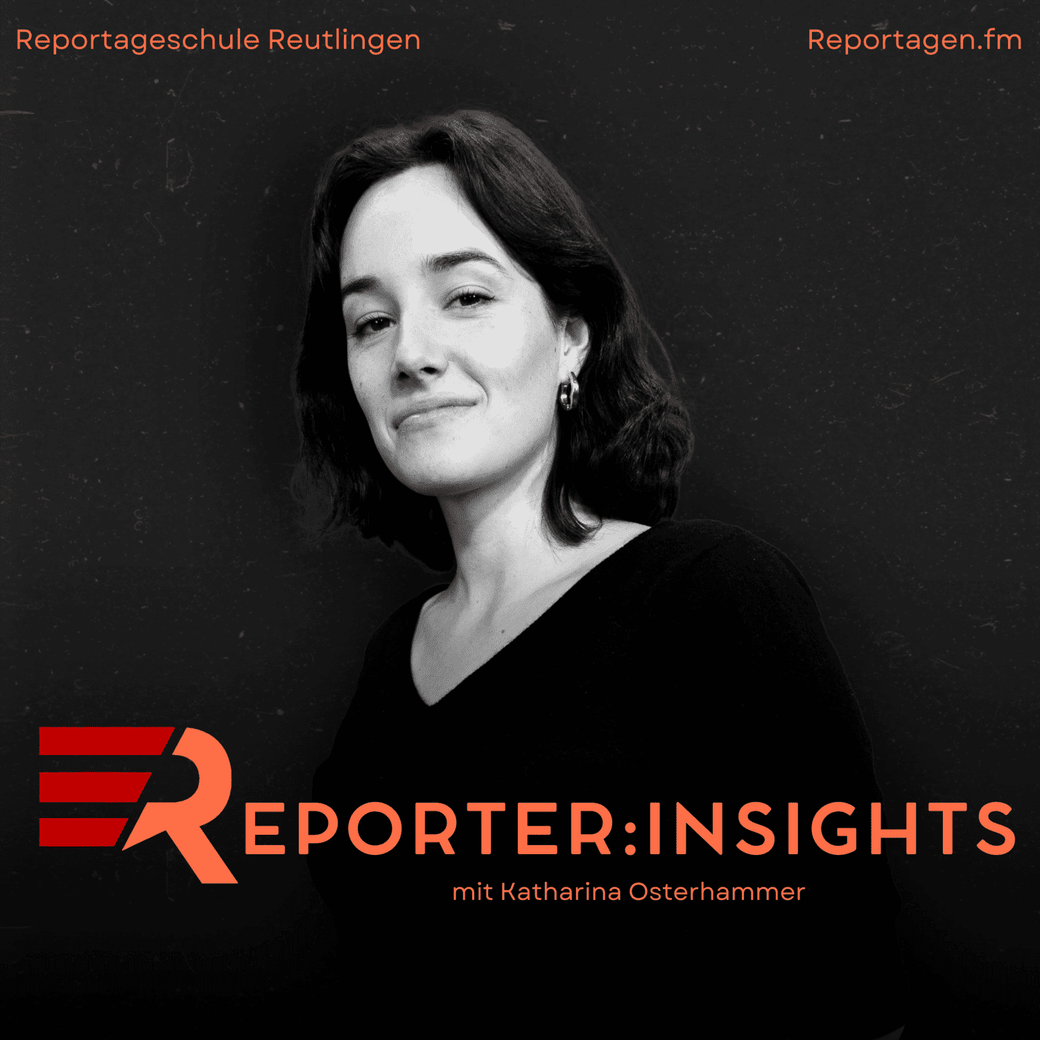 reporter:insights - Einblicke in große Recherchen