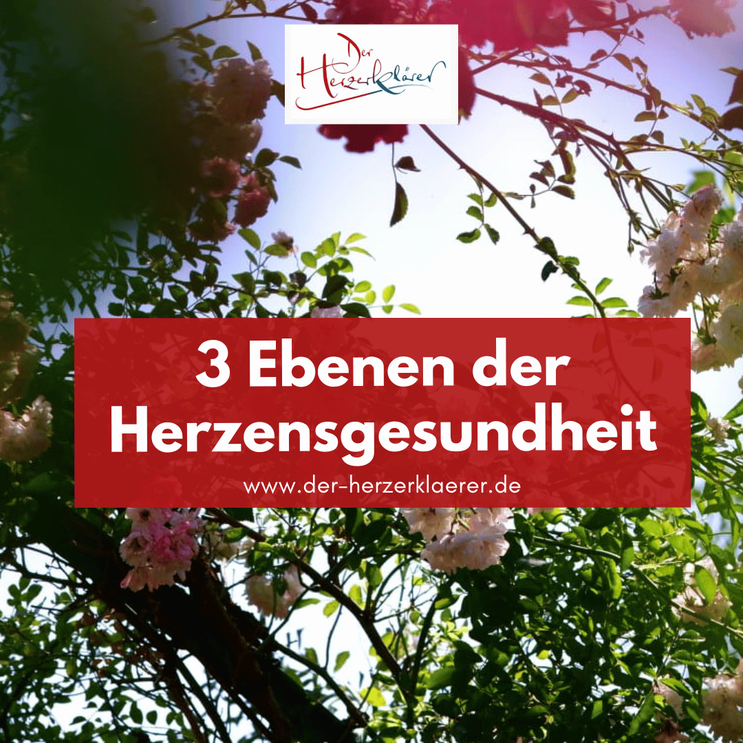 Der Herzerklärer