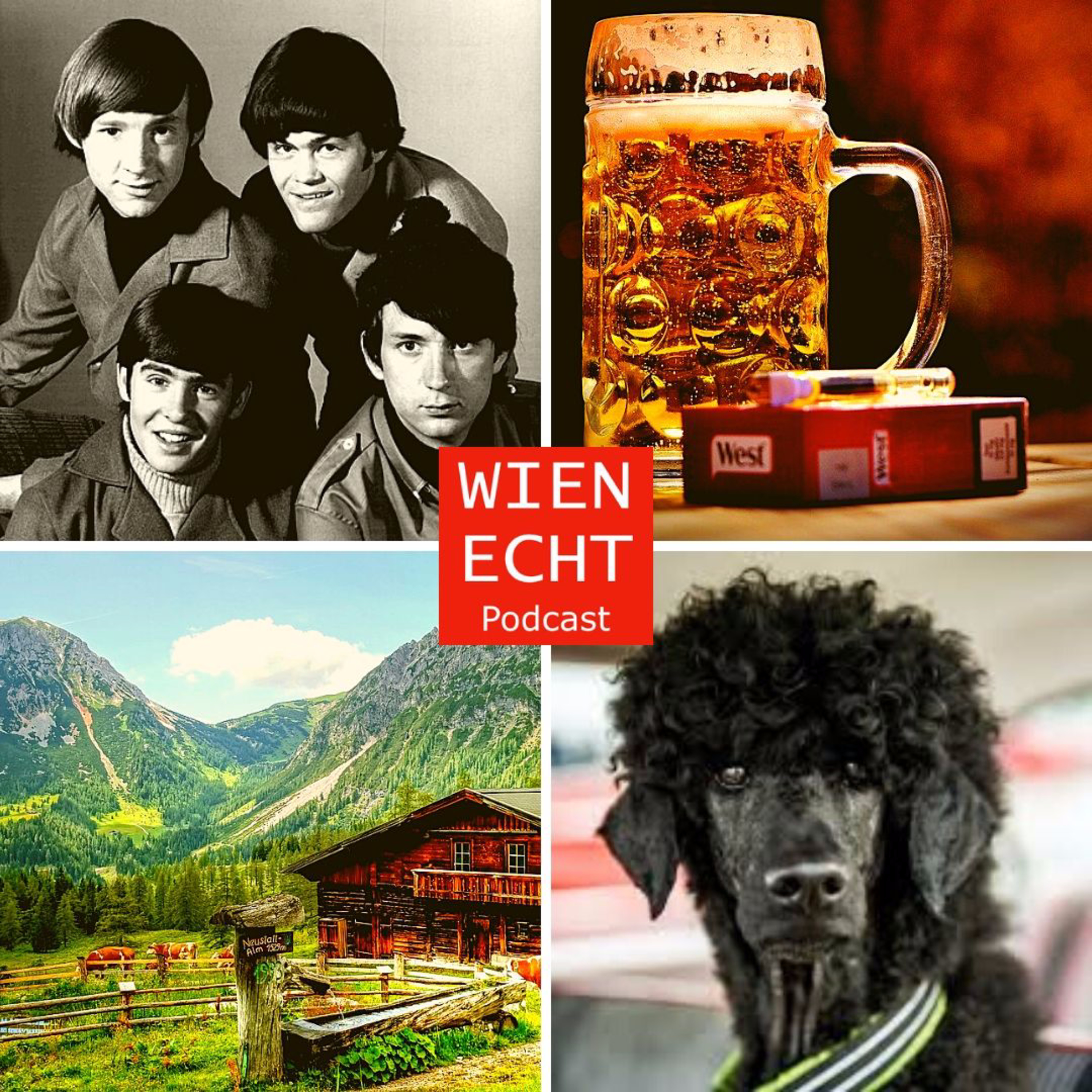 Wien echt