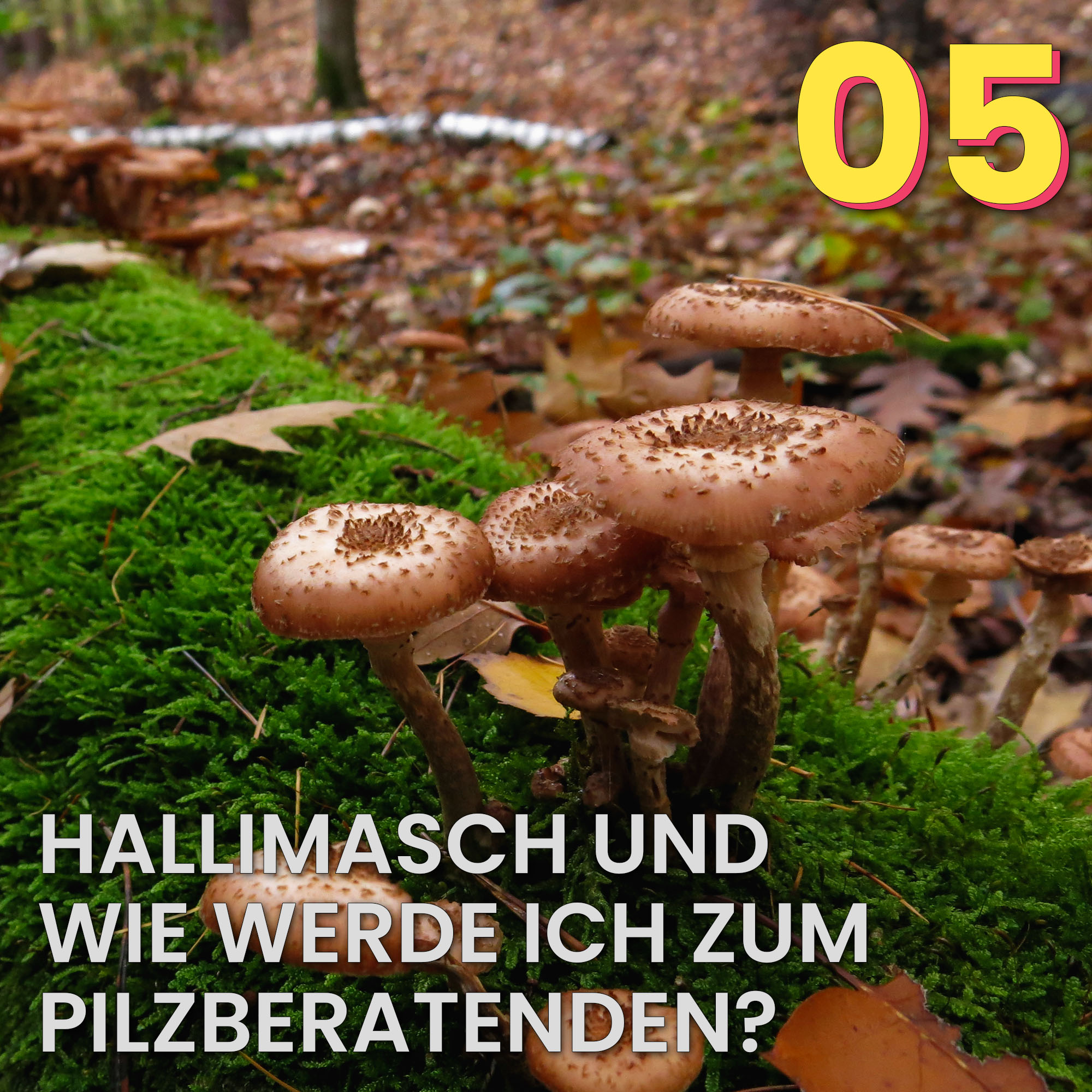 Der Pilzpodcast
