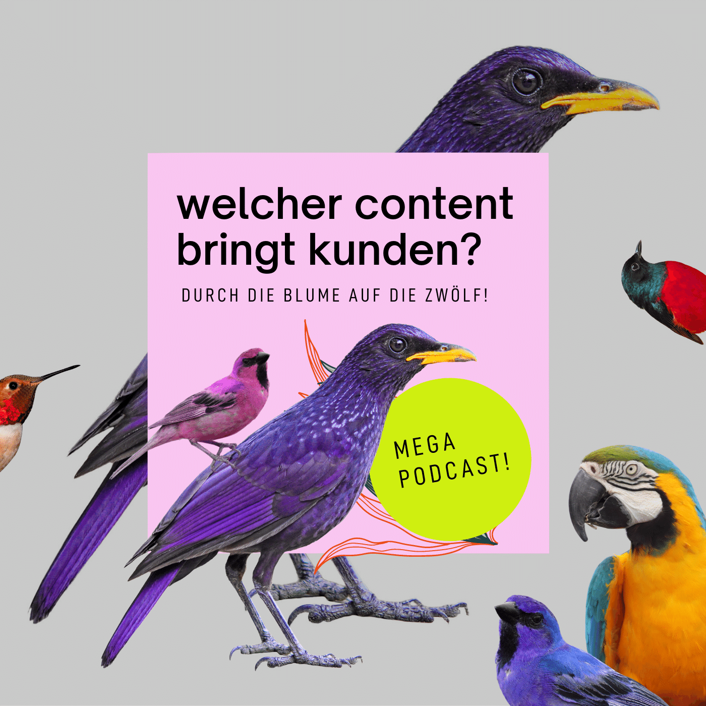 Durch die Blume auf die Zwölf!