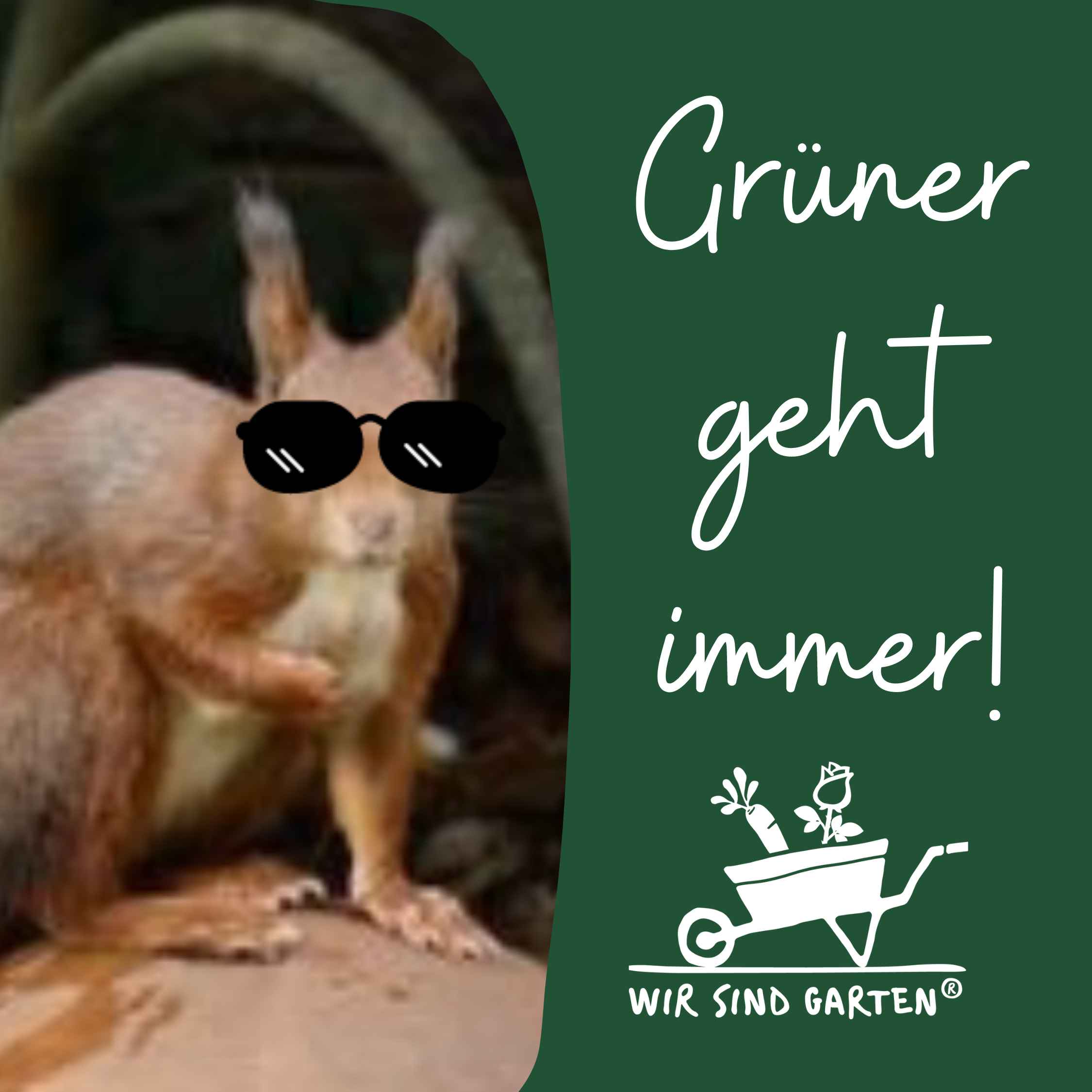 TerraMind Talks - KI & die Kunst zu leben