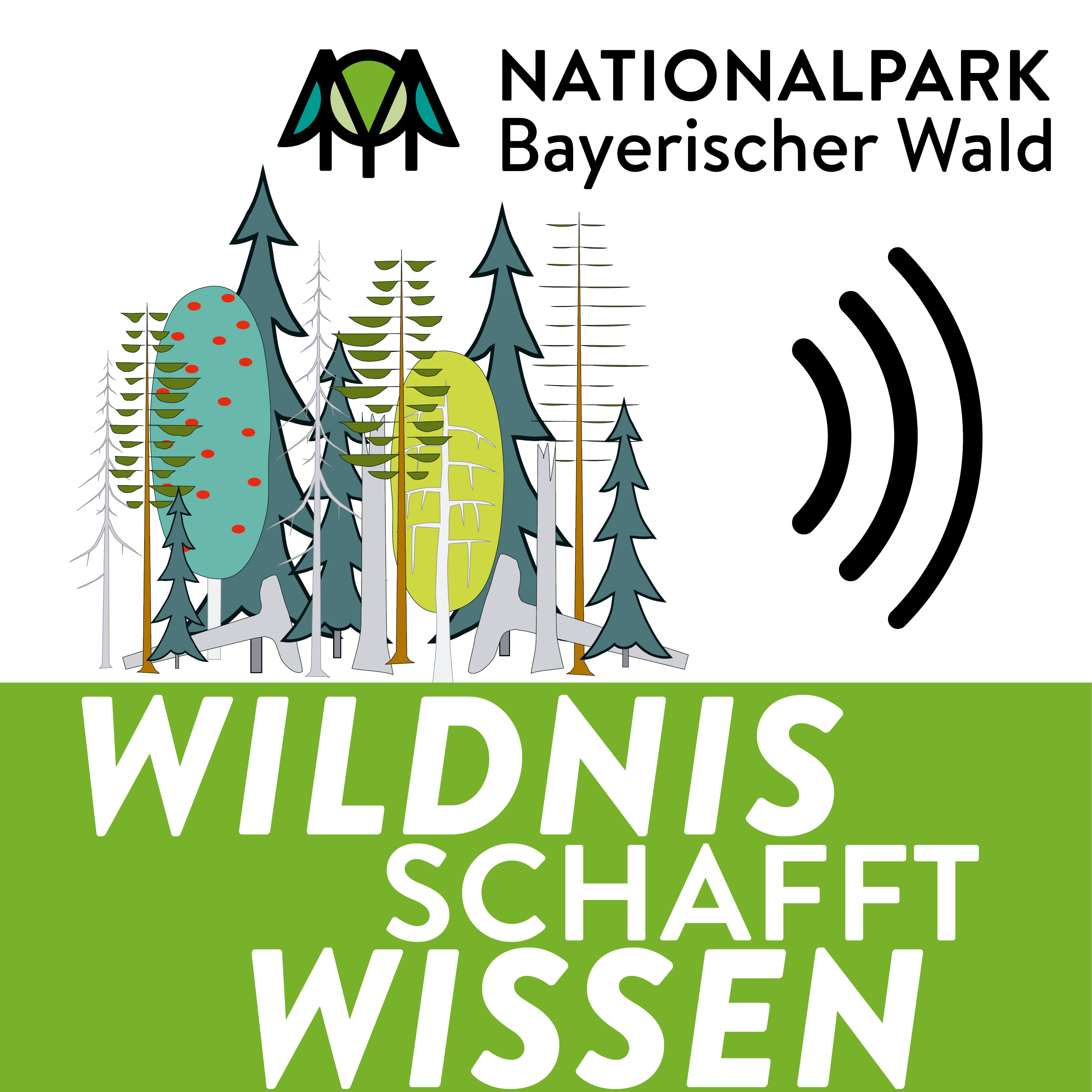 Wildnis schafft Wissen: Wie lenkt man Besucher?