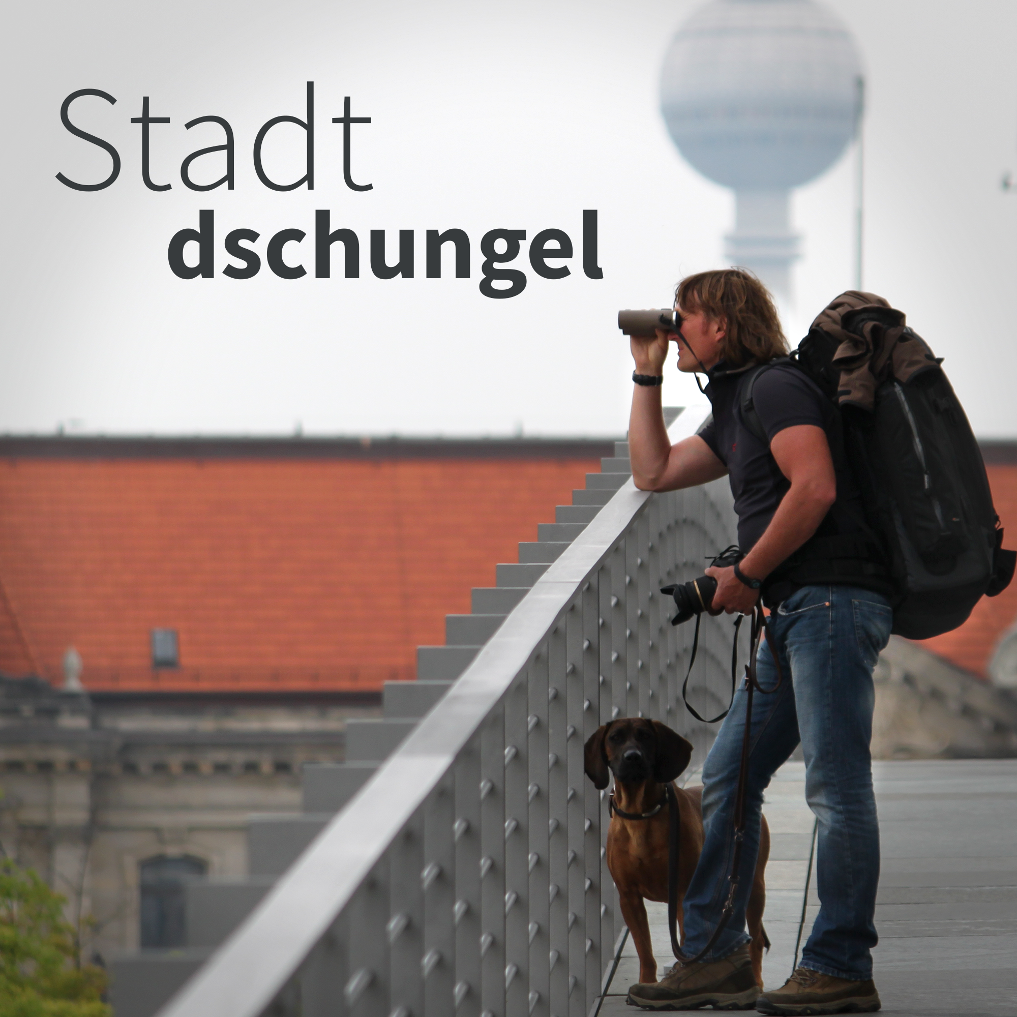 SD#028 - Die Flutkatastrophe im Sommer 21 episode artwork