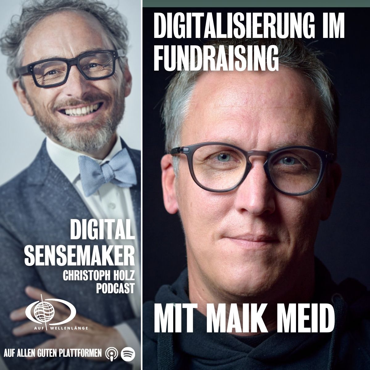 Digital Sensemaker | Der Podcast für Digitalisierung & Zukunft